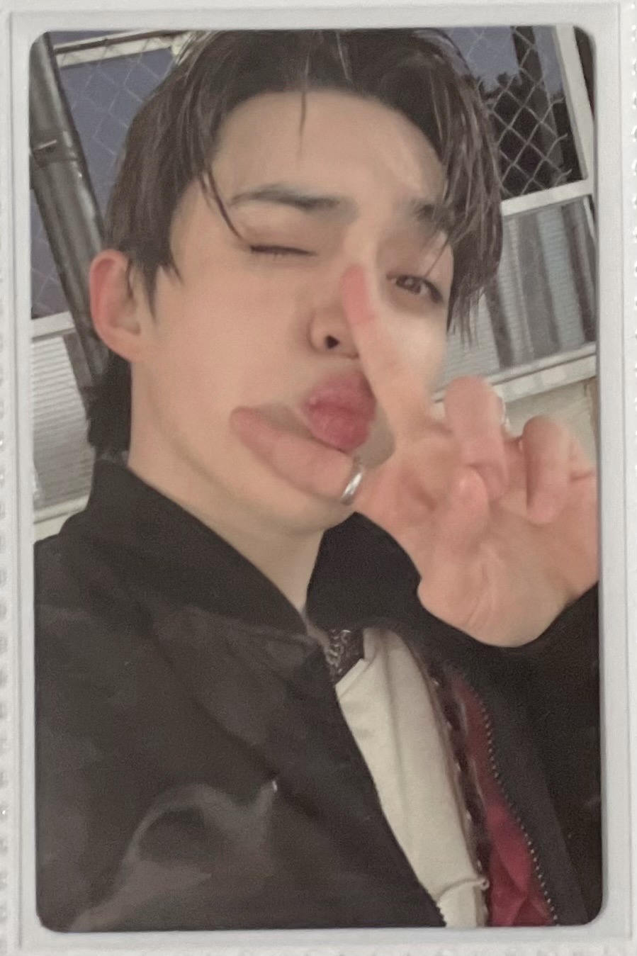 正五 WVS PB預售 特典卡 勝喆