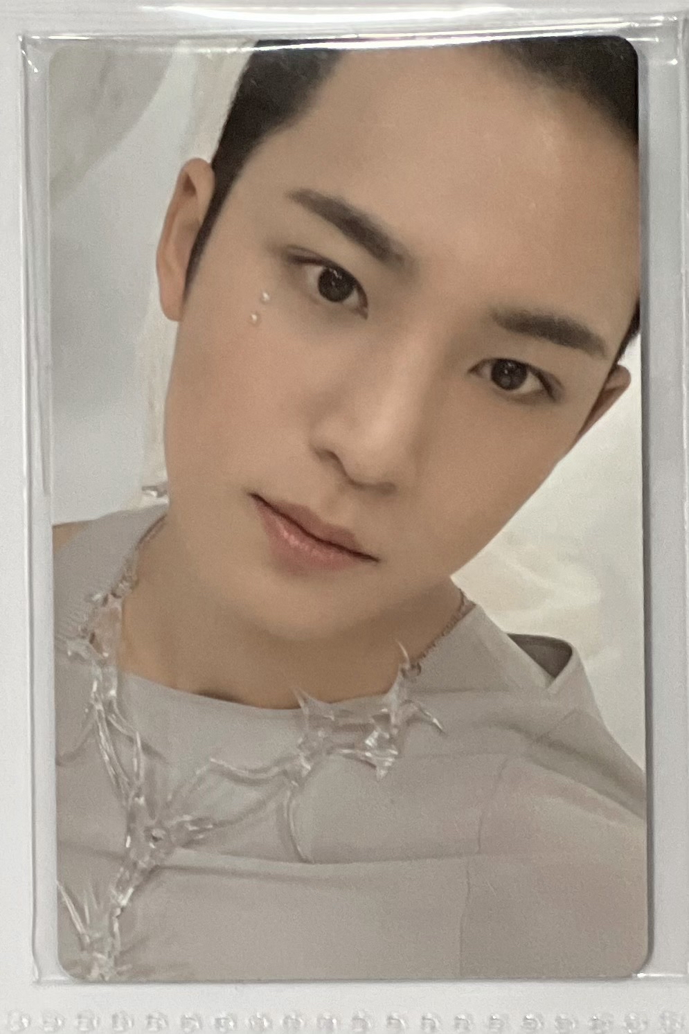 正五WVS GV 特典卡 奎