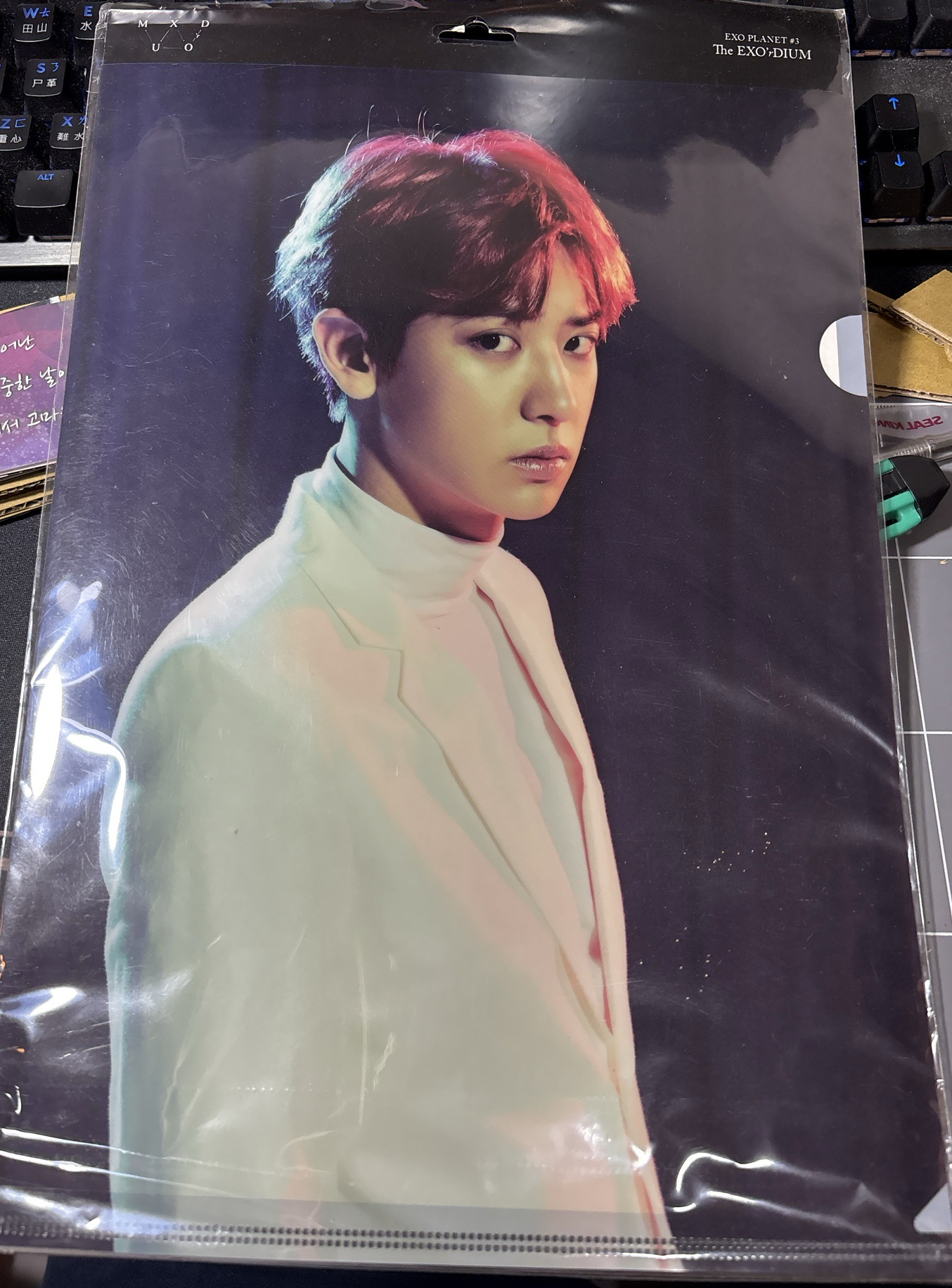 EXO三巡 L夾 燦烈