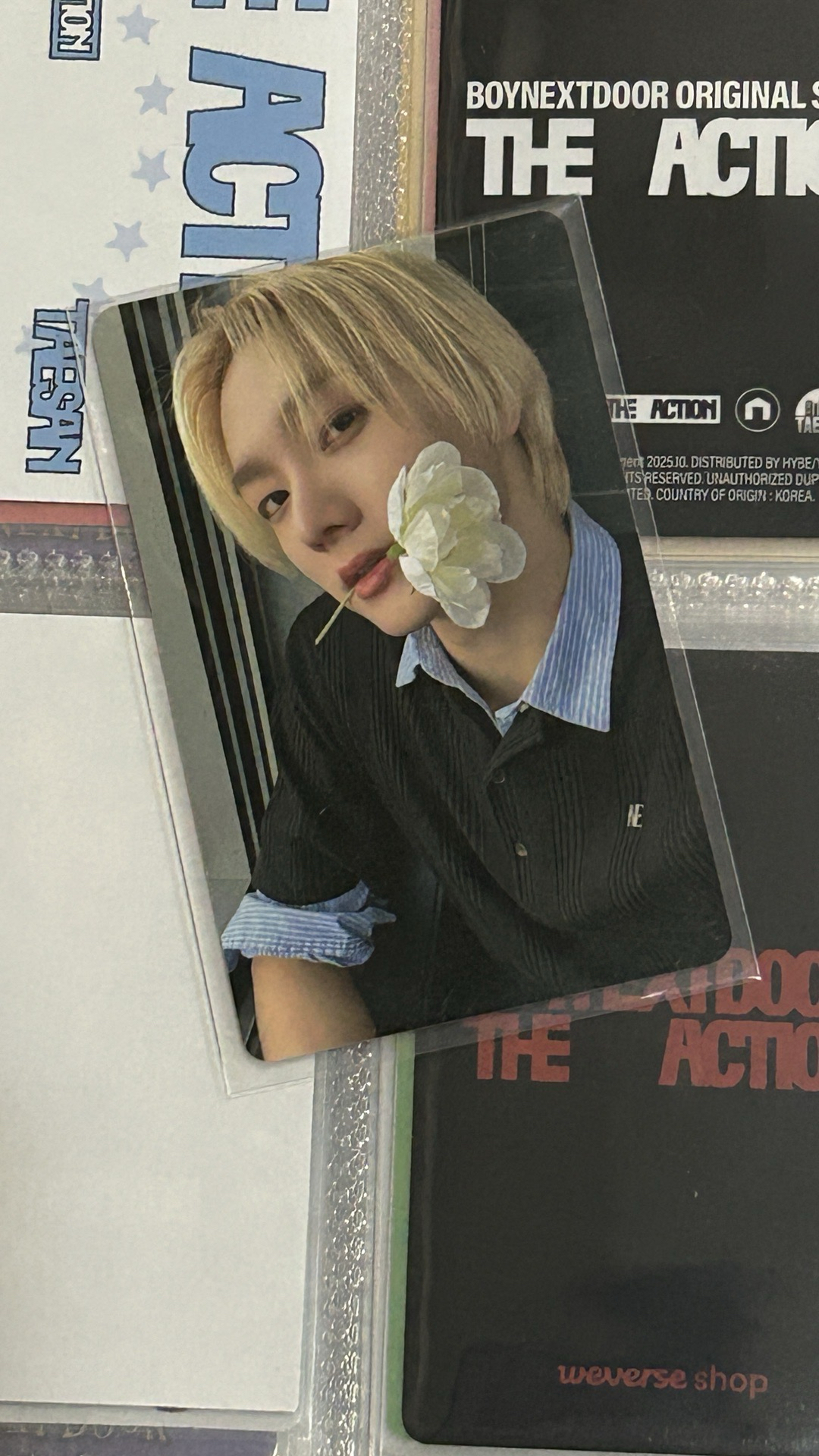 SUNGHO/THE ACTION wvs特典