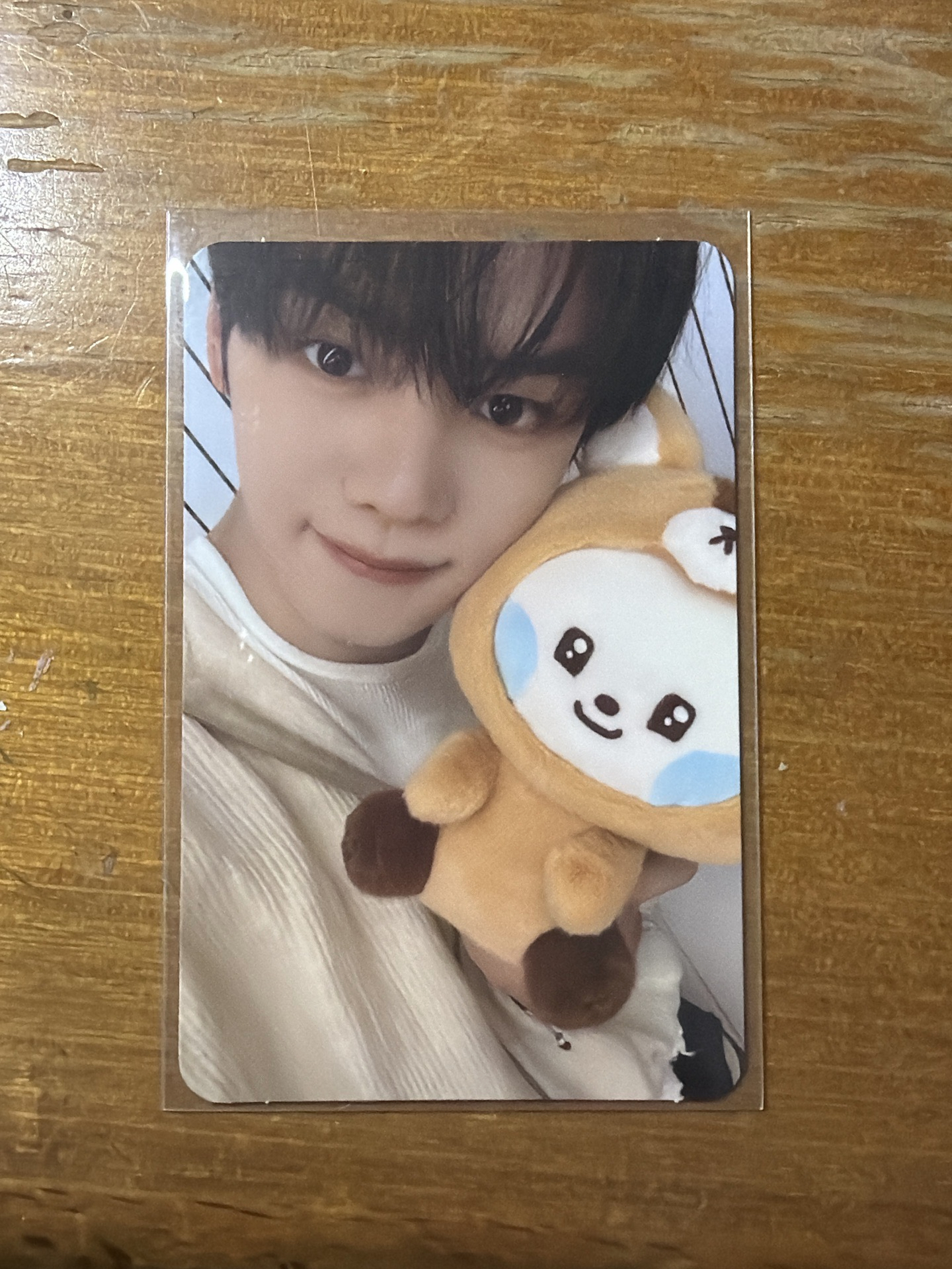 奎 zeroni FW 滿額卡 