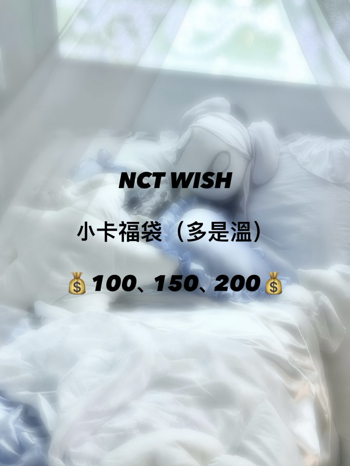 NCT WISH 小卡福袋 （多是溫）可客製化價格
