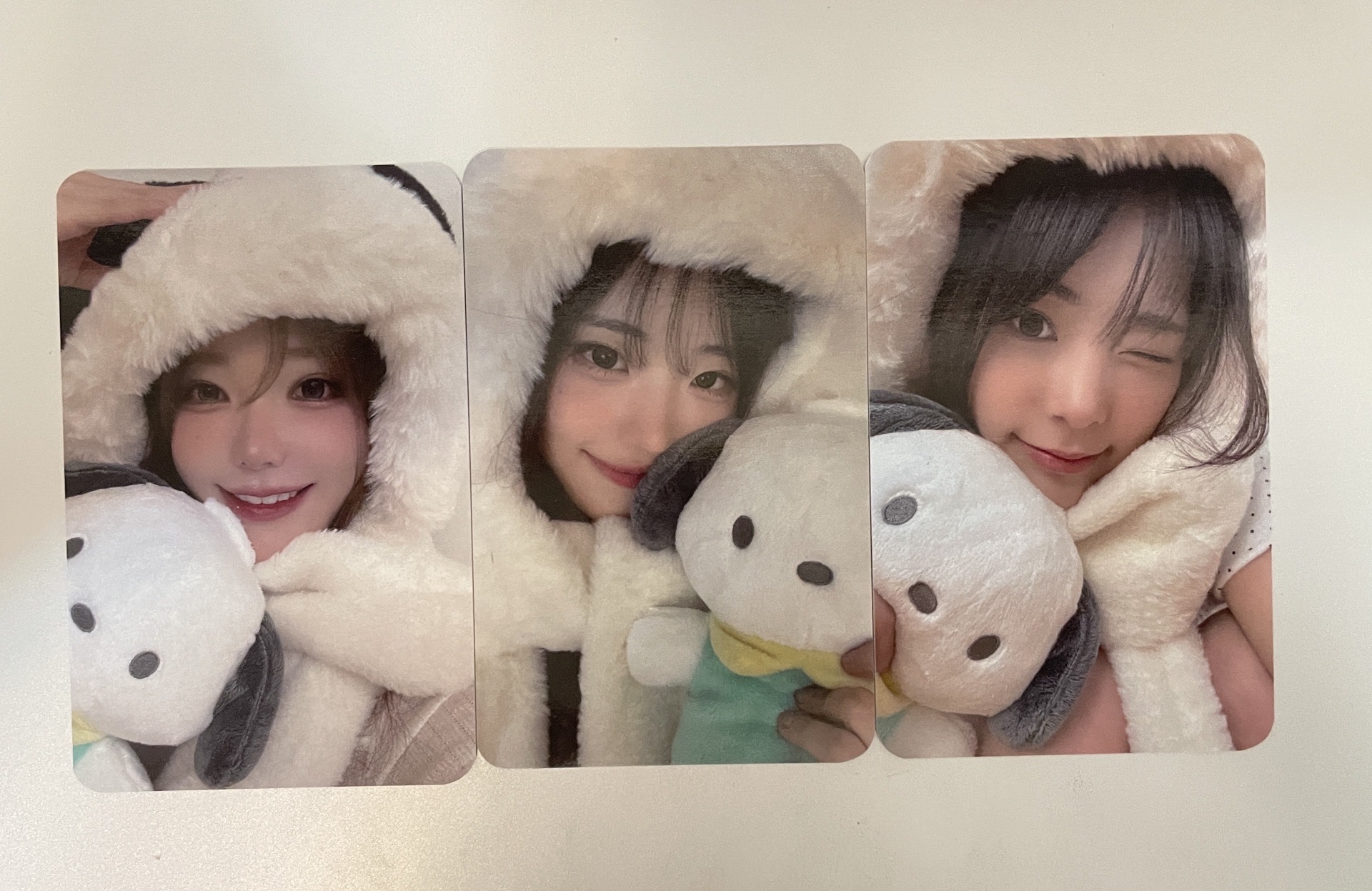 帕恰狗 塔 娜 燕