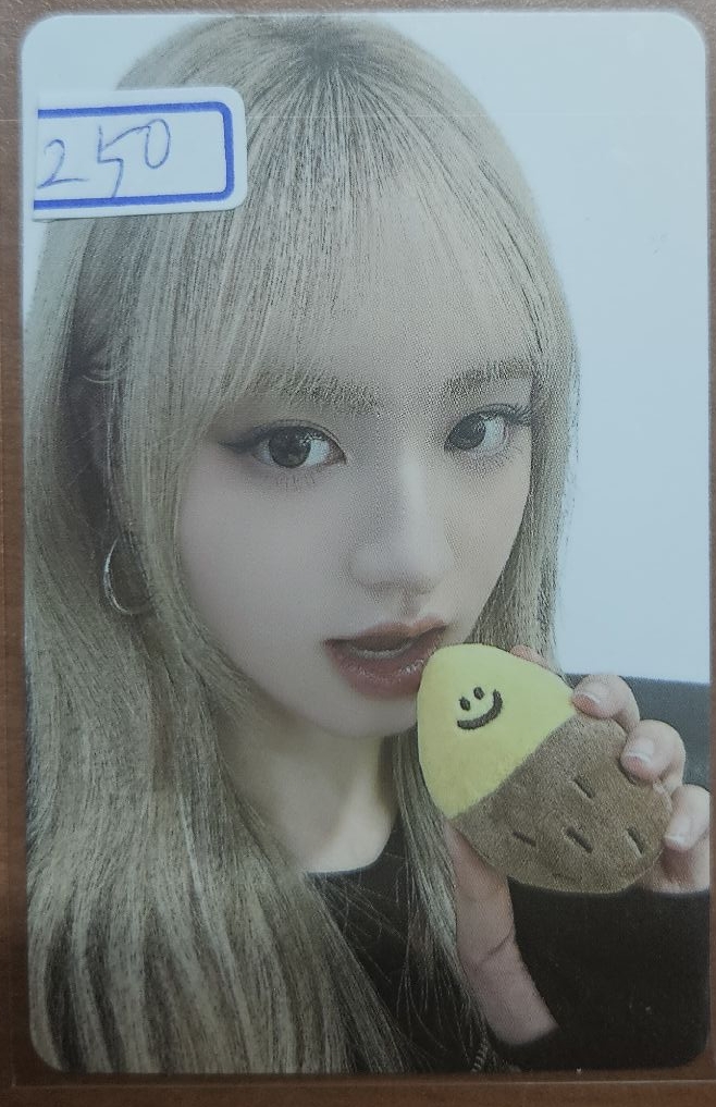 ＜全收優惠＞SW6.0 地瓜栗 員