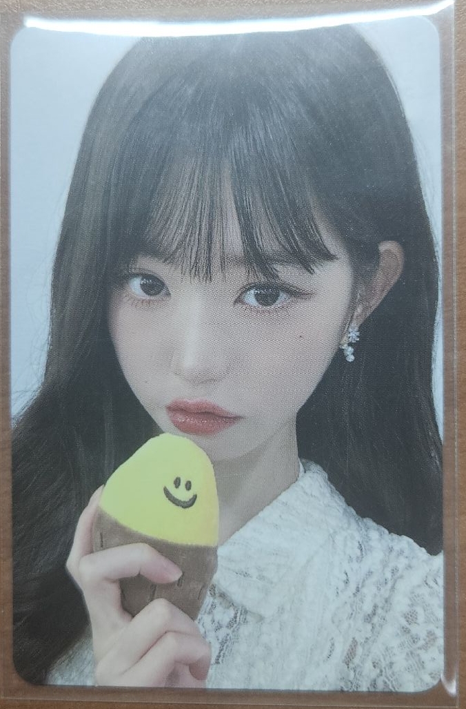 ＜全收優惠＞SW6.0 地瓜栗 員