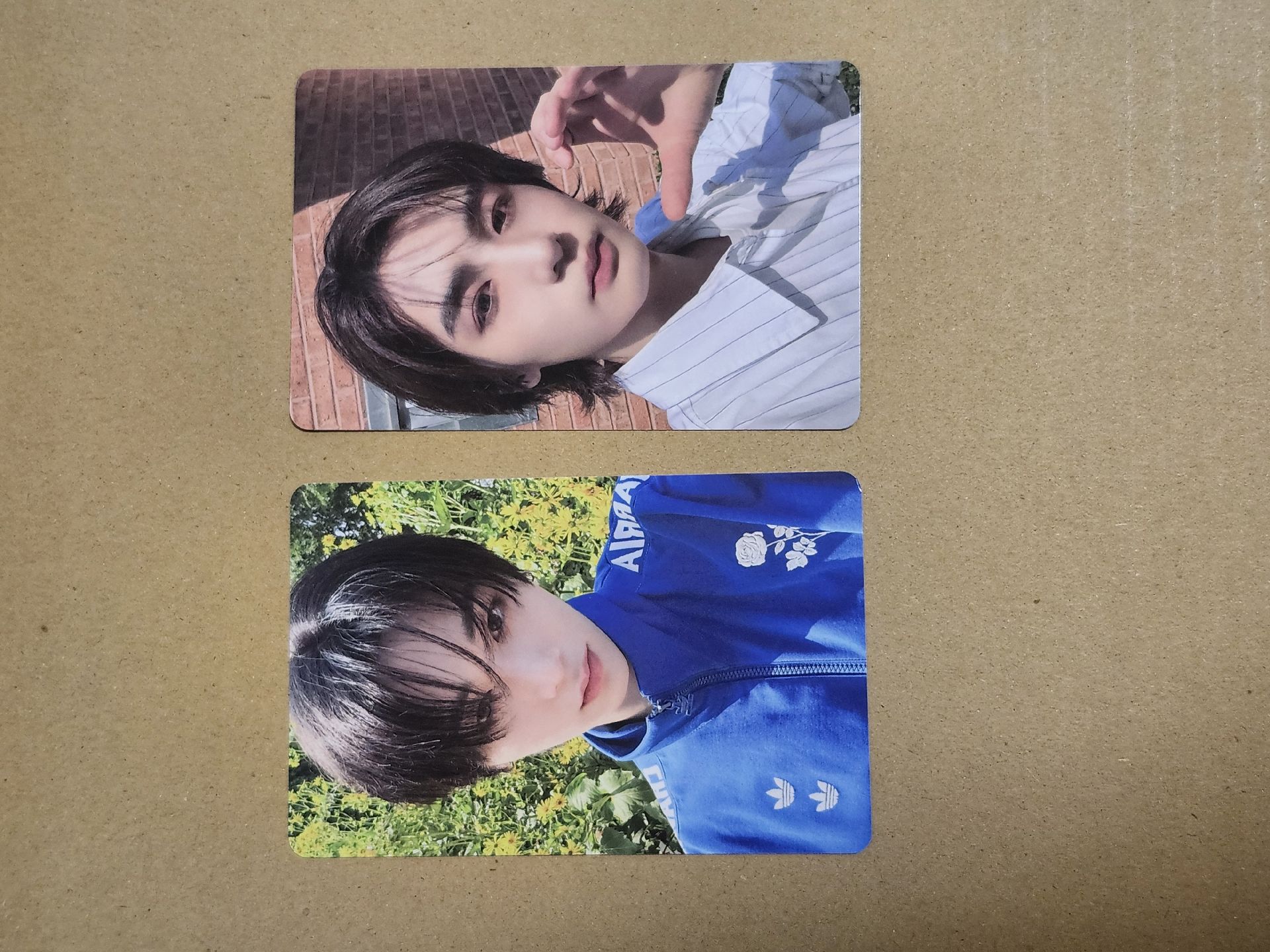 台曆 THE ACTION 單封專卡