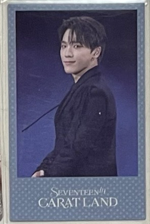 24克拉島wvs VOD特典🍋