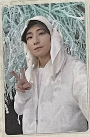 正四後續 專卡🍋