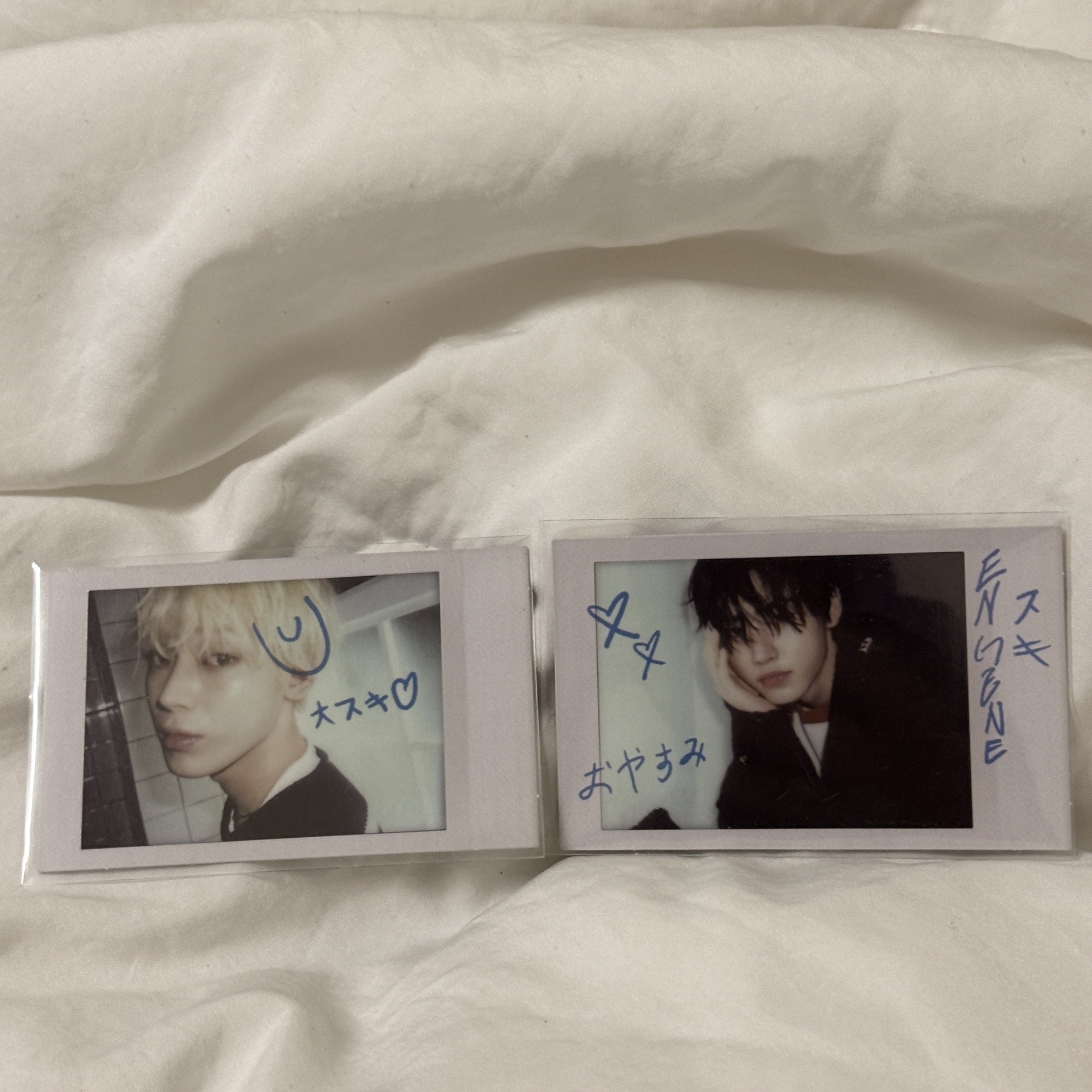 ENHYPEN Jake Niki Sunoo Sunghoon Daydream 專卡