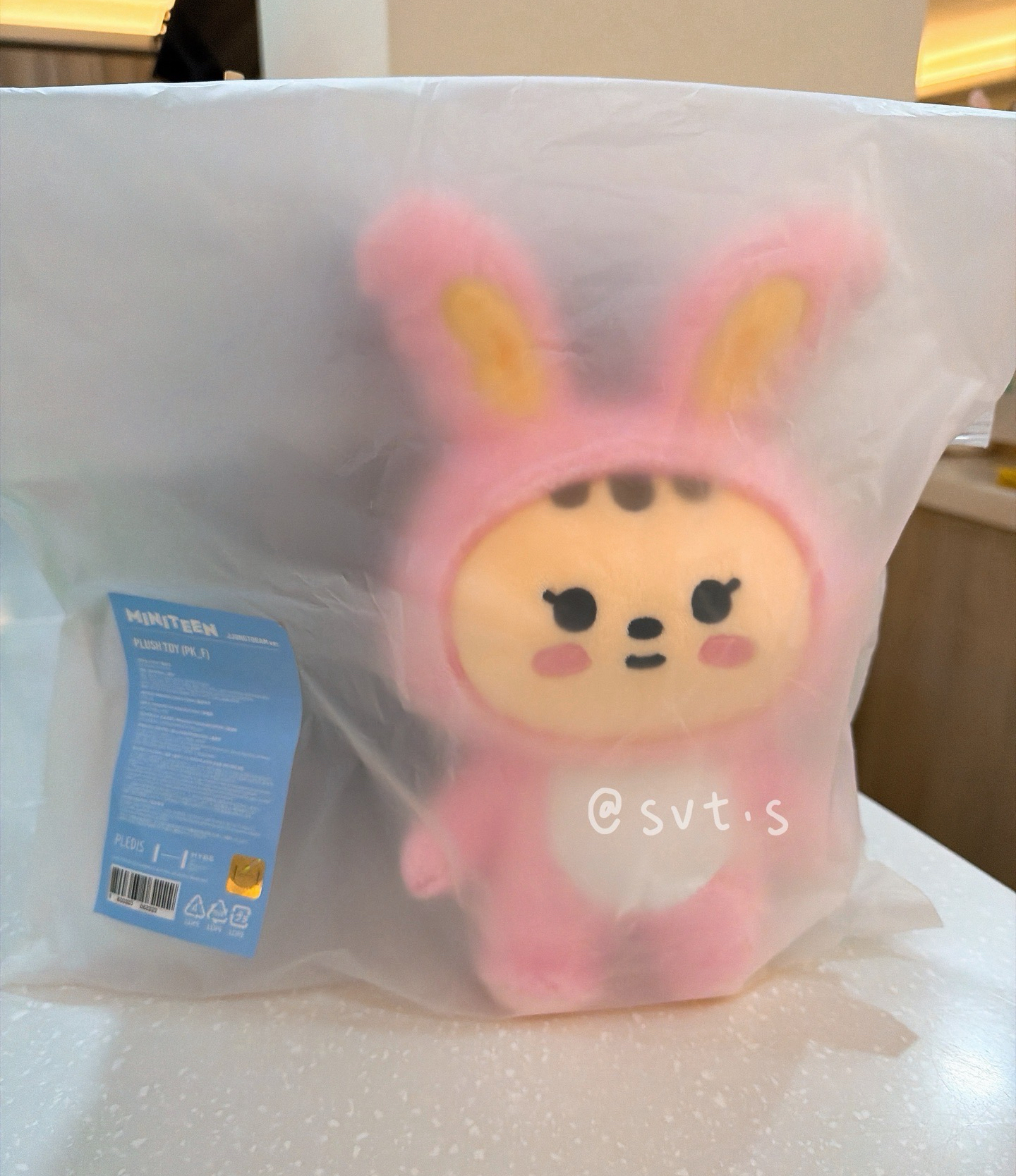 全新 miniteen 站姿娃娃 尹淨漢 JJONGTORAM 兔拉米 快閃店購入