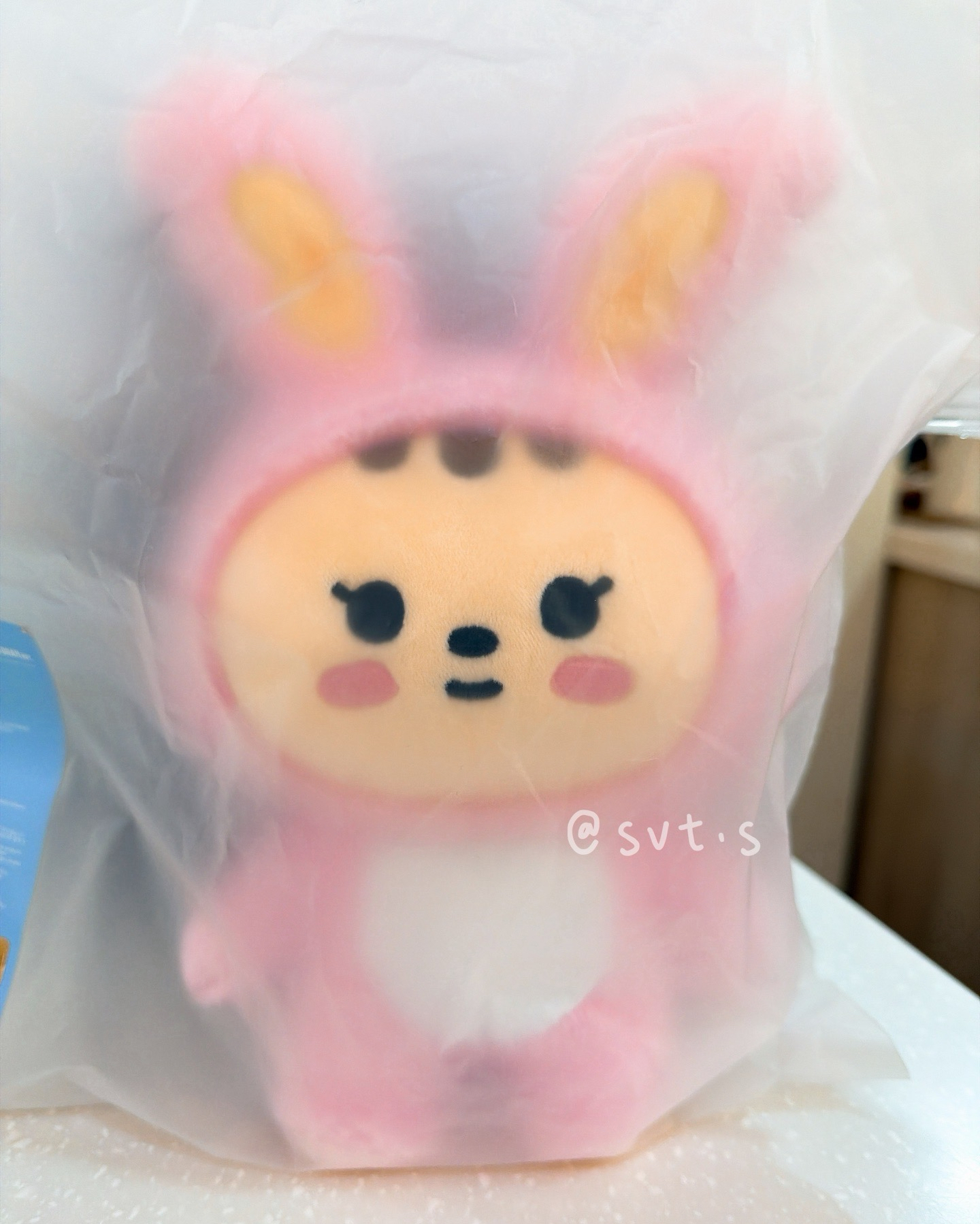 全新 miniteen 站姿娃娃 尹淨漢 JJONGTORAM 兔拉米 快閃店購入