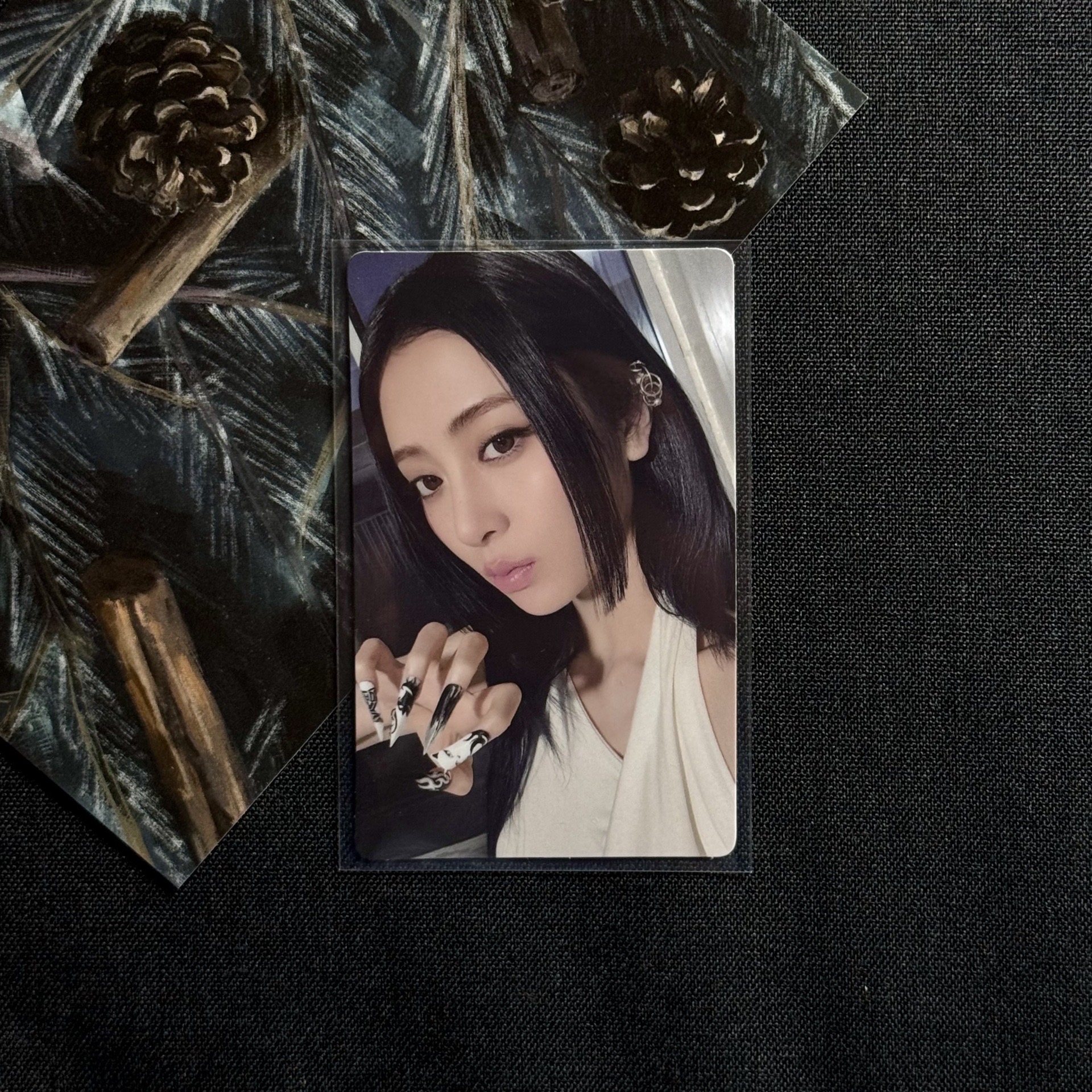 hot wvs sc應募特典