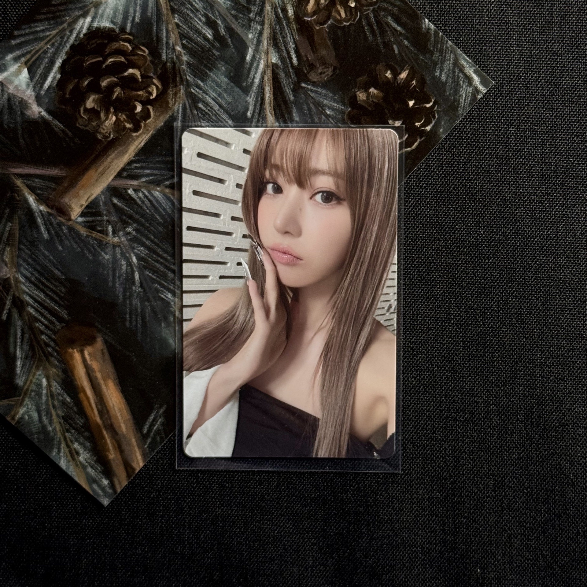 hot 櫻花單封 專卡