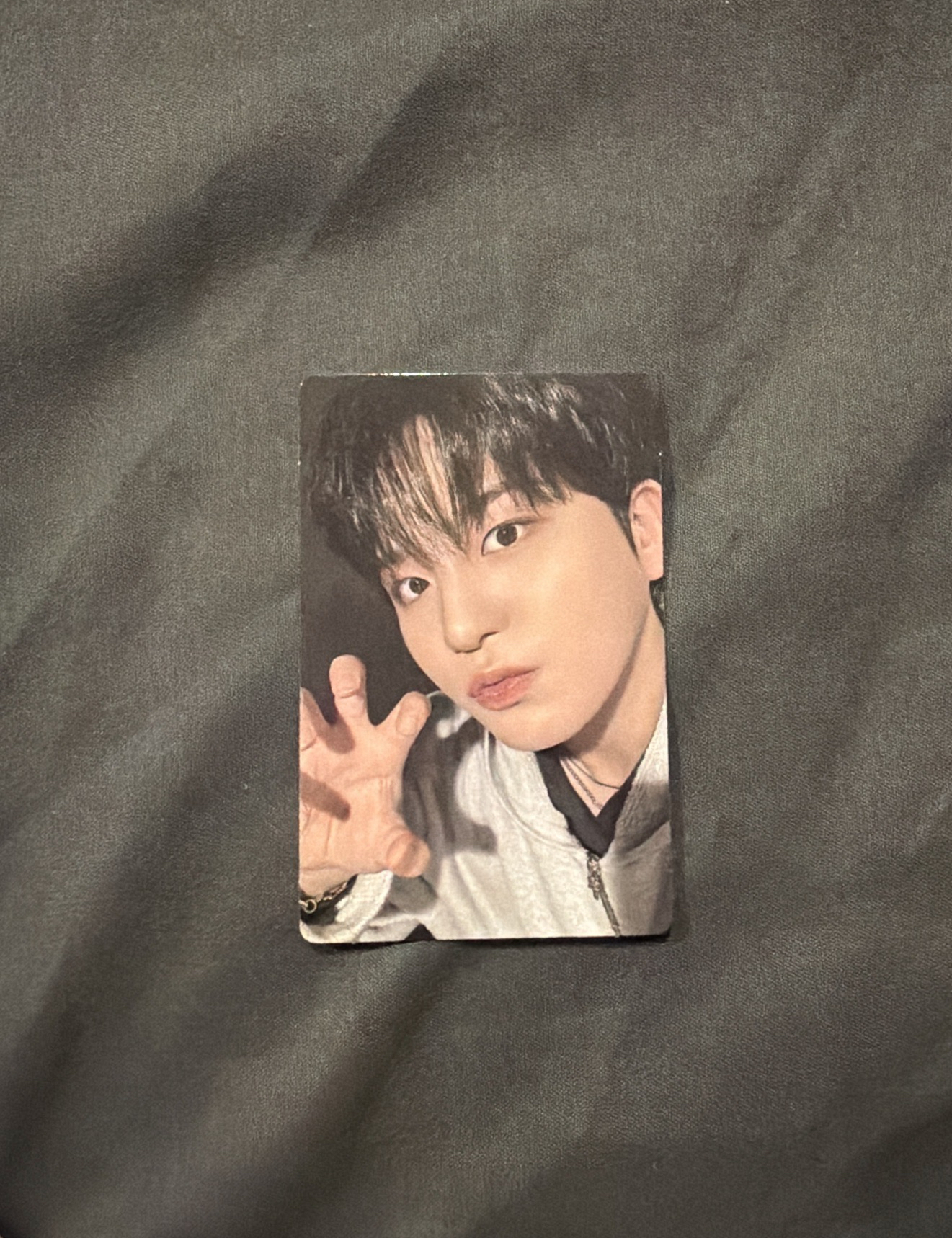 虎爪小熊｜IYF專卡