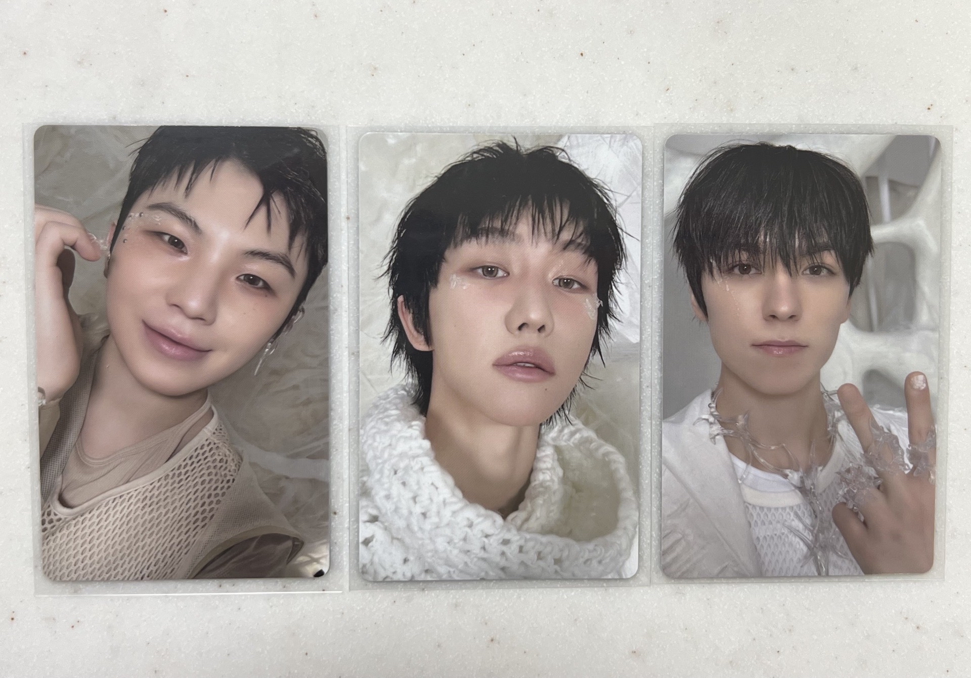 正五 wvs GV 特典 勳 俊 率