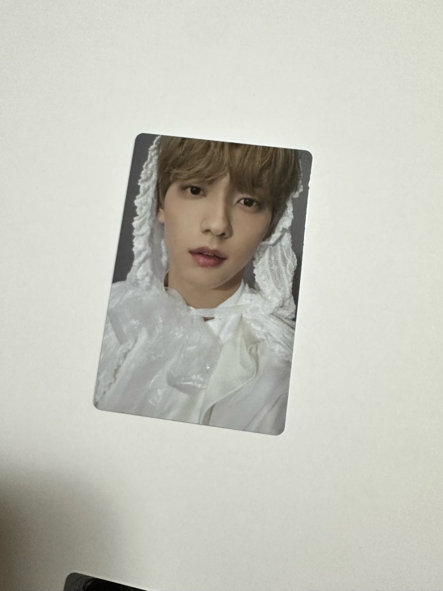 txt 24年巡迴演唱會 DVD卡