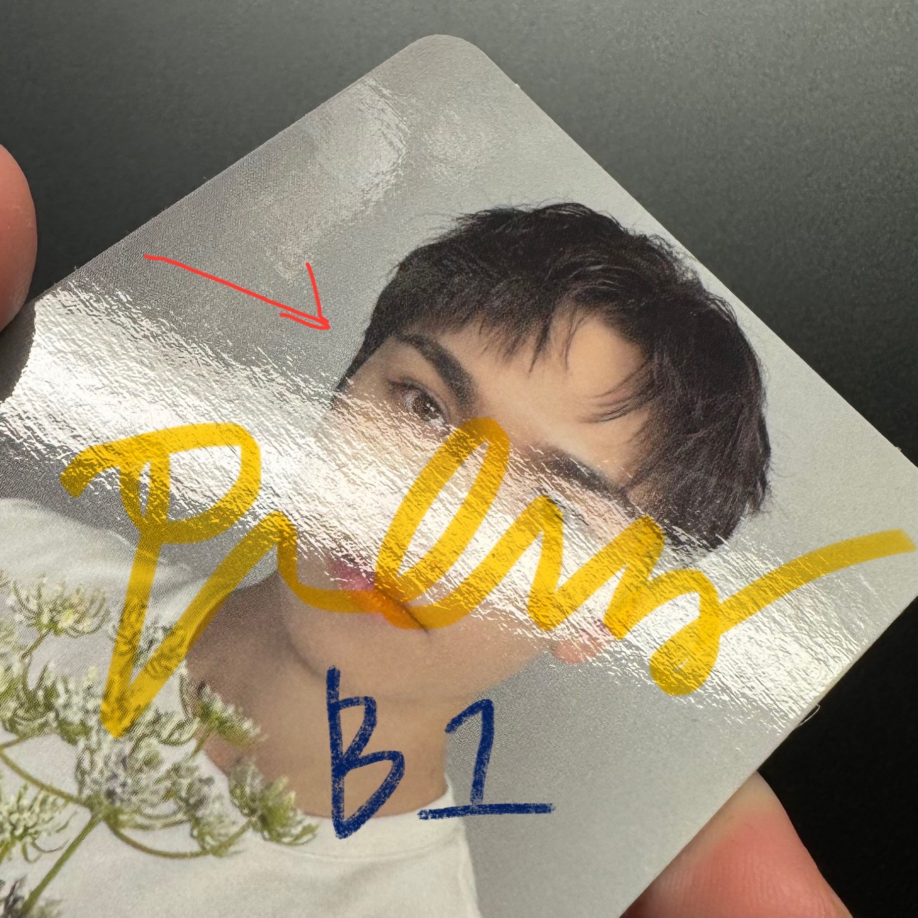 ⭐️率（可當綁，可單帶）