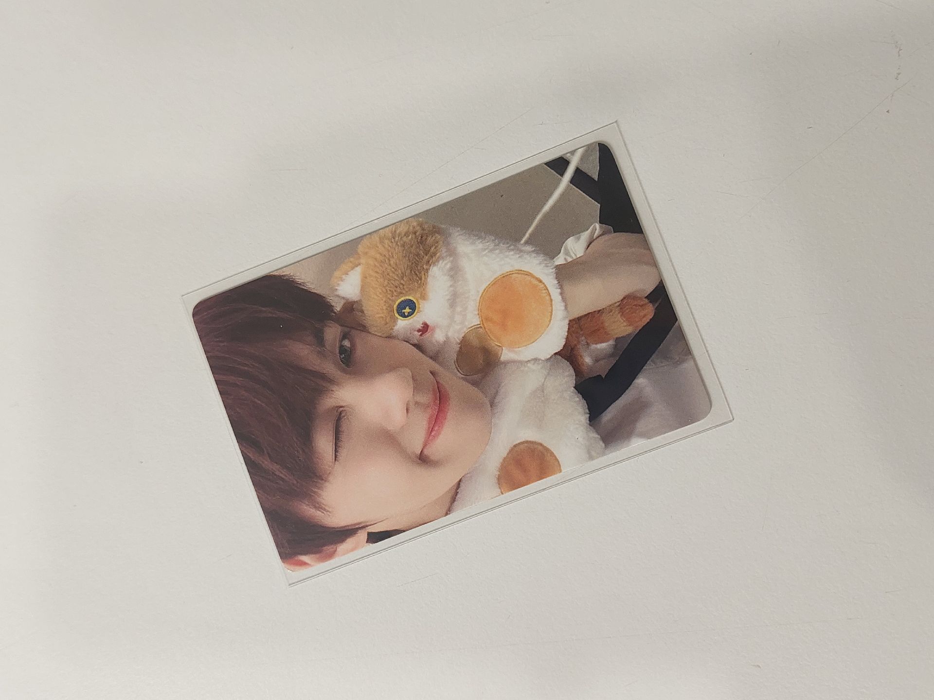 zb1 金奎彬 迷四 一直娛 胖貓