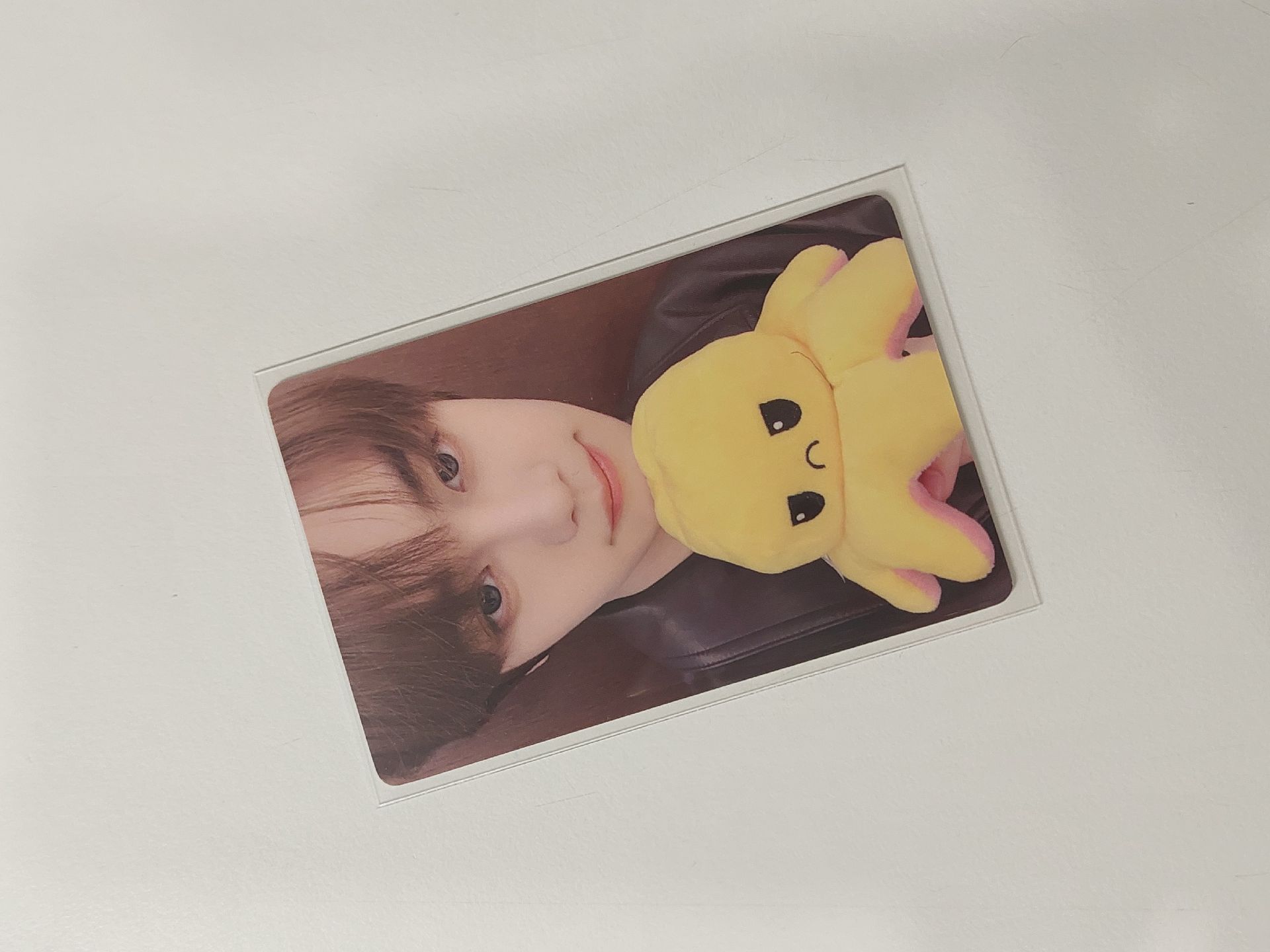 zb1 金奎彬 迷五 一直娛 憤怒章魚