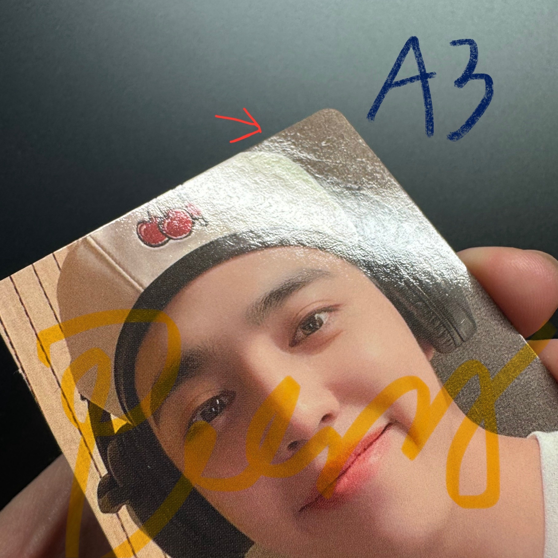 哲（需綁賣場⭐️）定價中 先不要下單！