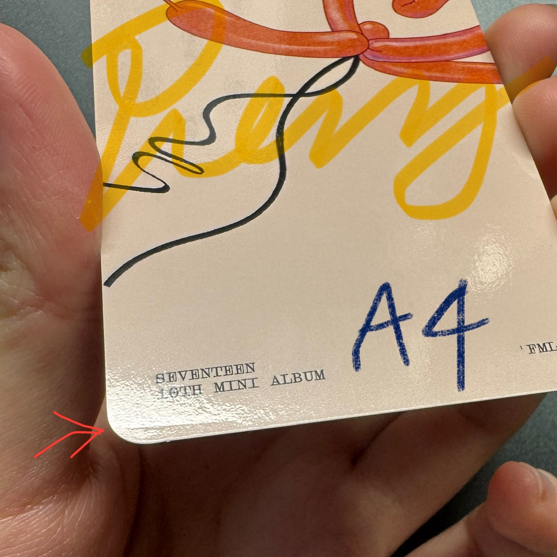 哲（需綁賣場⭐️）定價中 先不要下單！