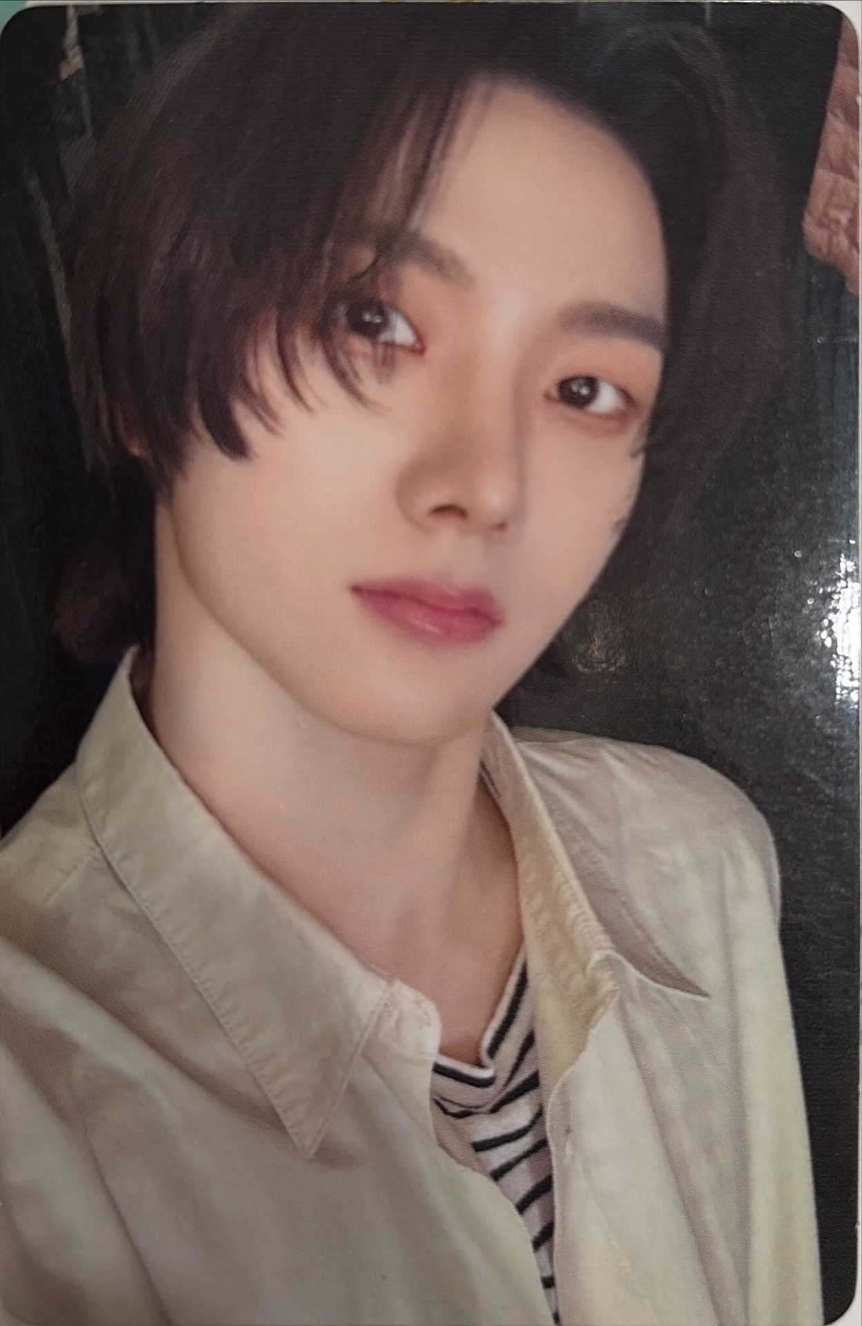 朴成淏19.99 專輯卡 Nice ver.