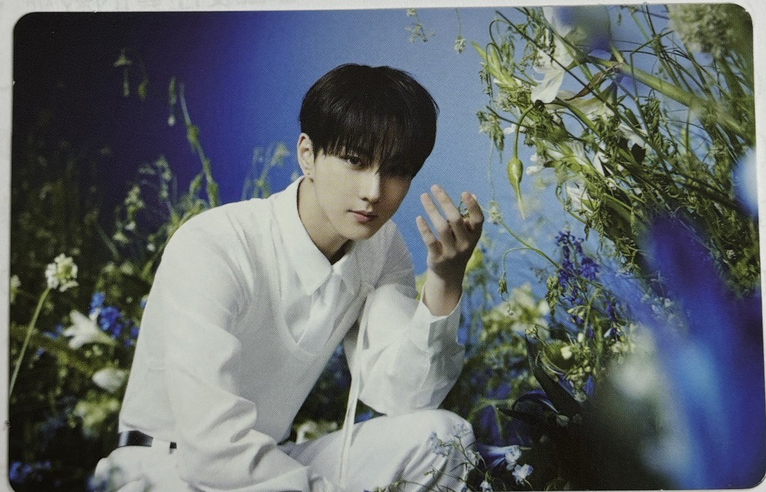 禎元WTL 隨機卡2/8