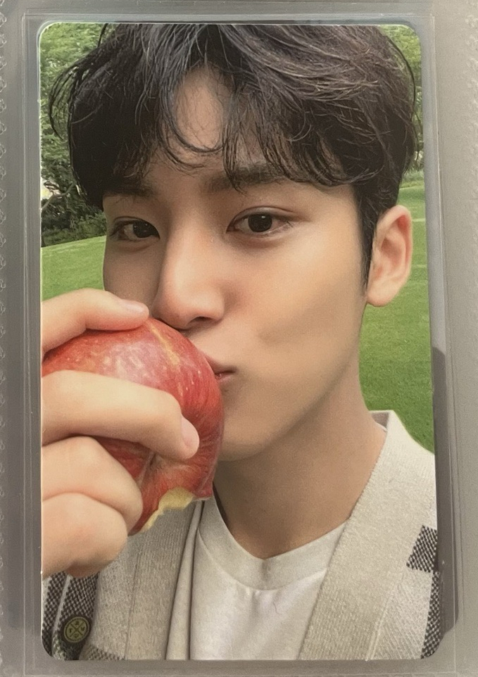 🩷蘋果奎 sc 金珉奎 mingyu