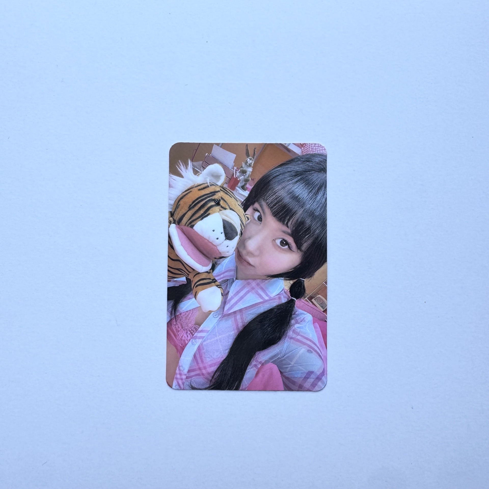 BETWEEN專卡彩瑛 老虎彩