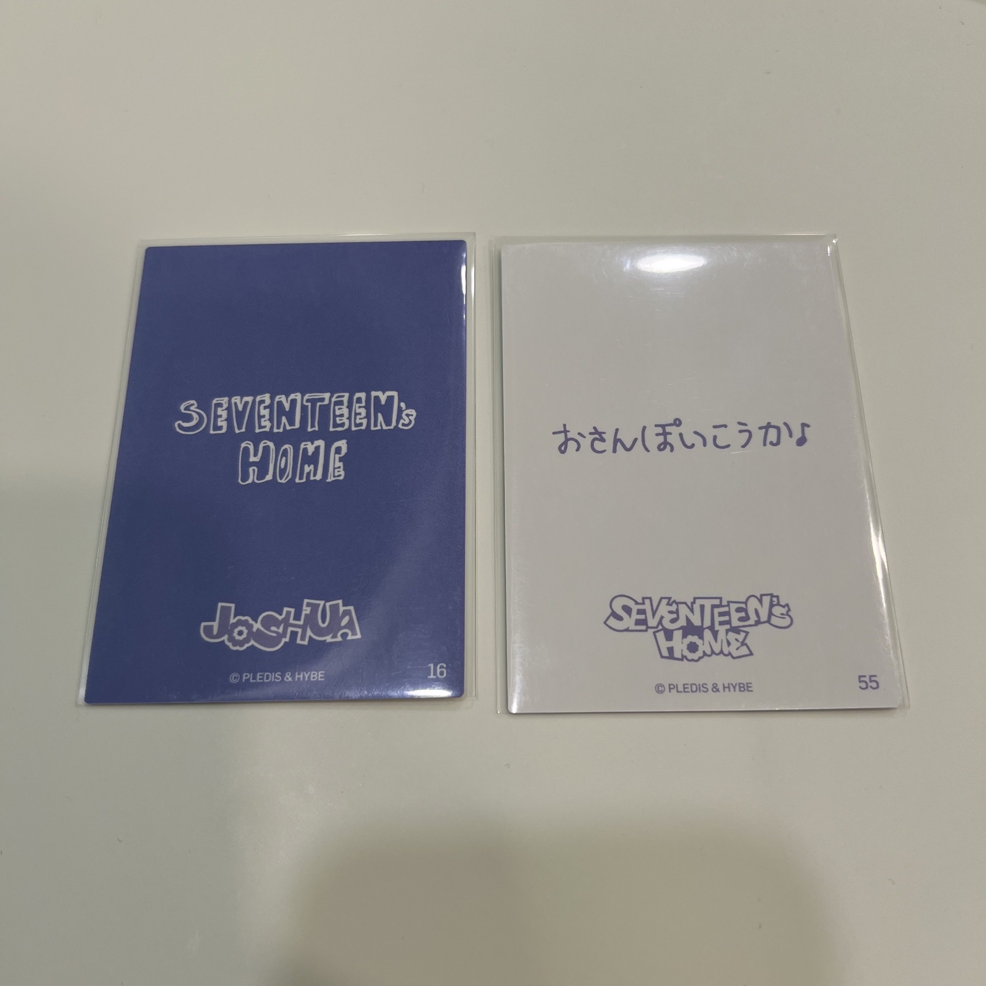 SEVENTEEN 2024HOME 隨機卡 小卡 洪知秀 JOSHUA