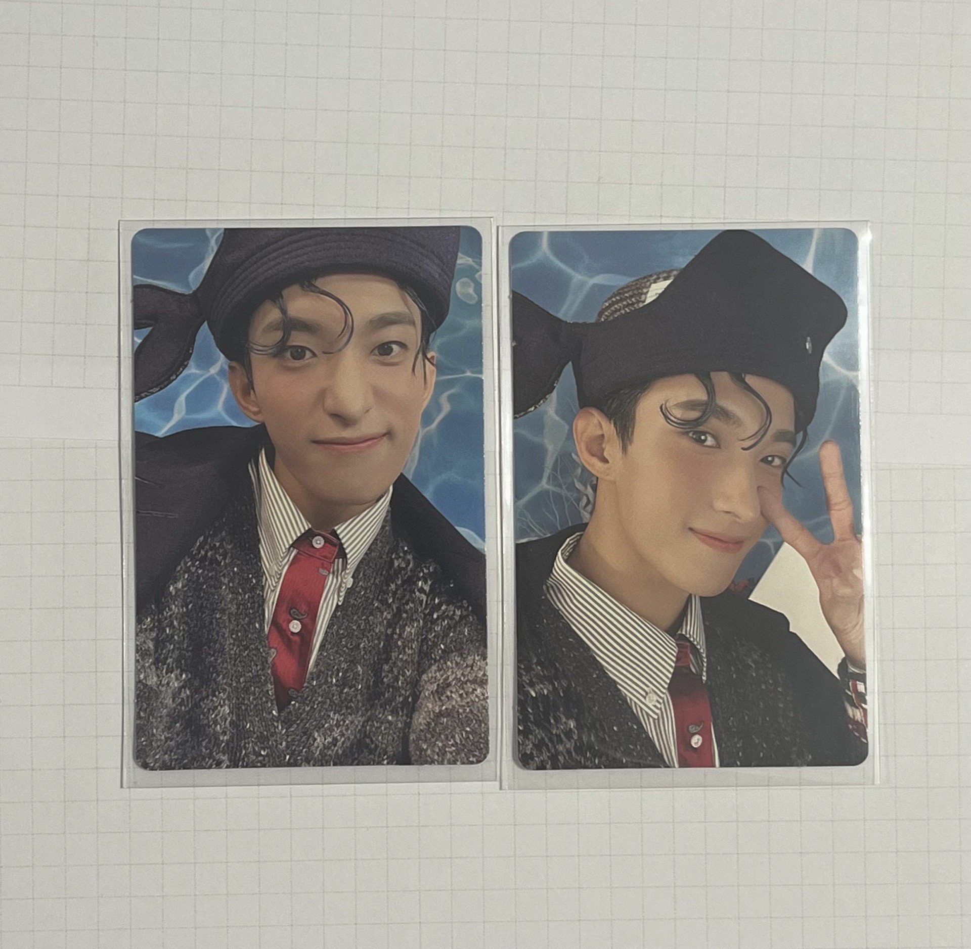 SVT 精選專專卡-鯨魚碩