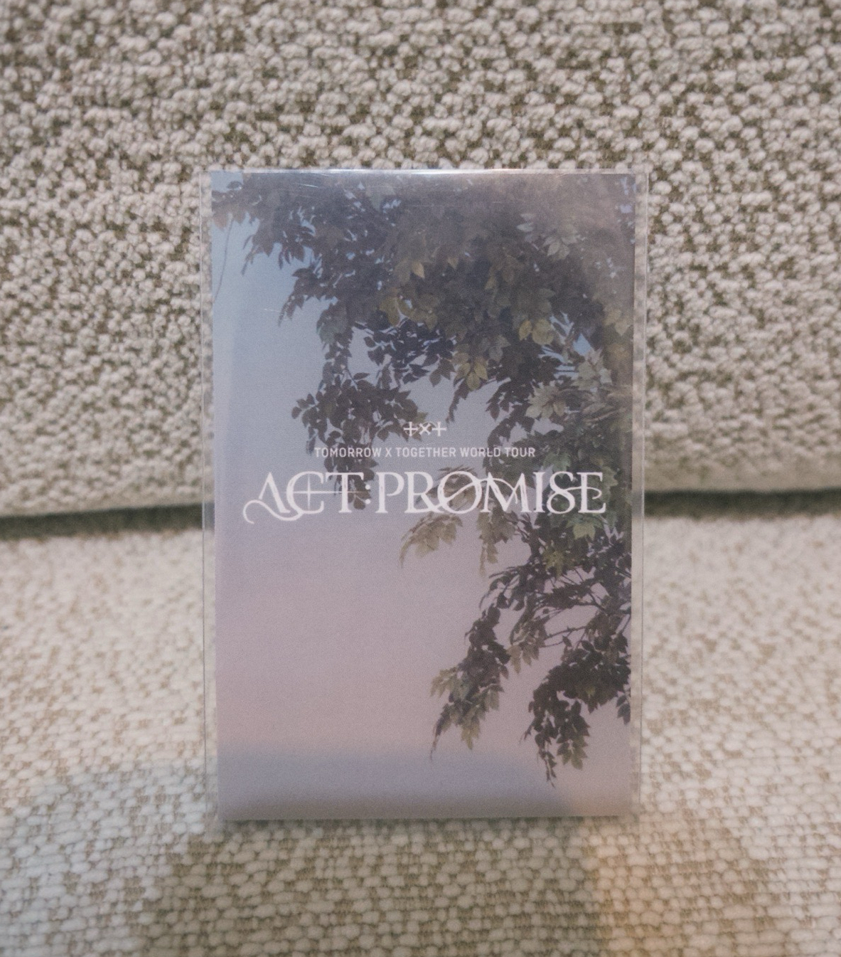 ACT:PROMISE IN Taipei 休寧粽卡