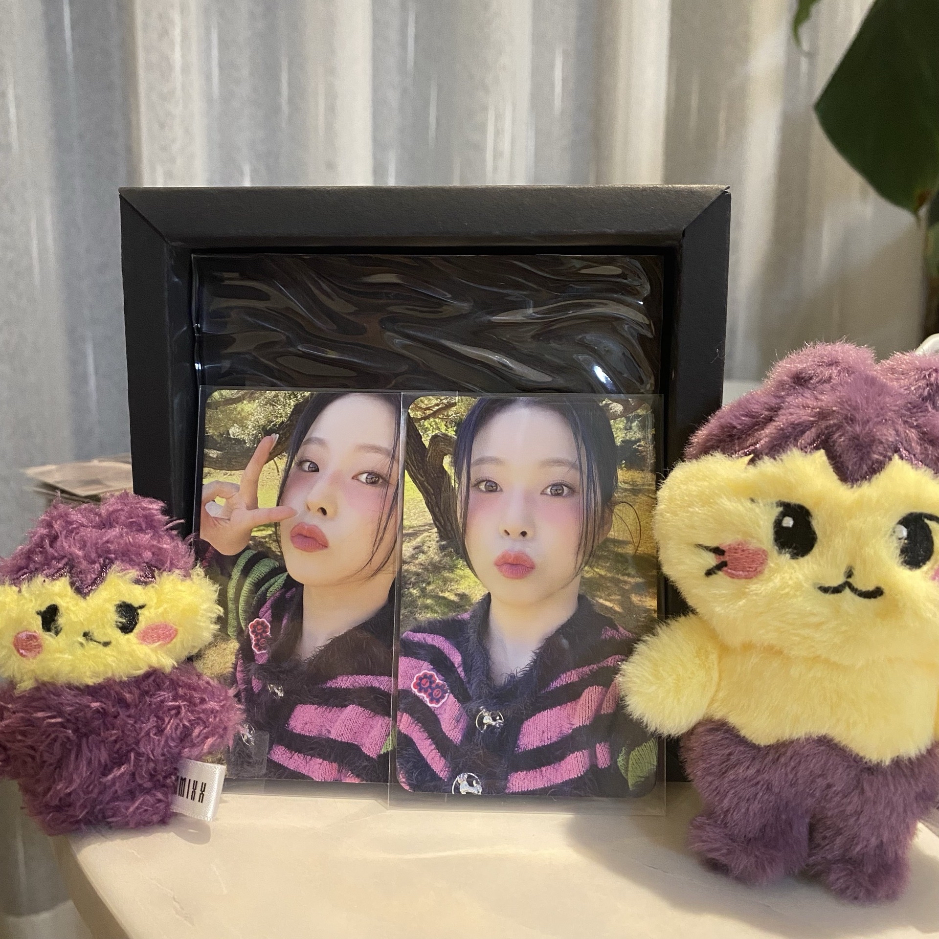 🪼ms 線下&星河預售