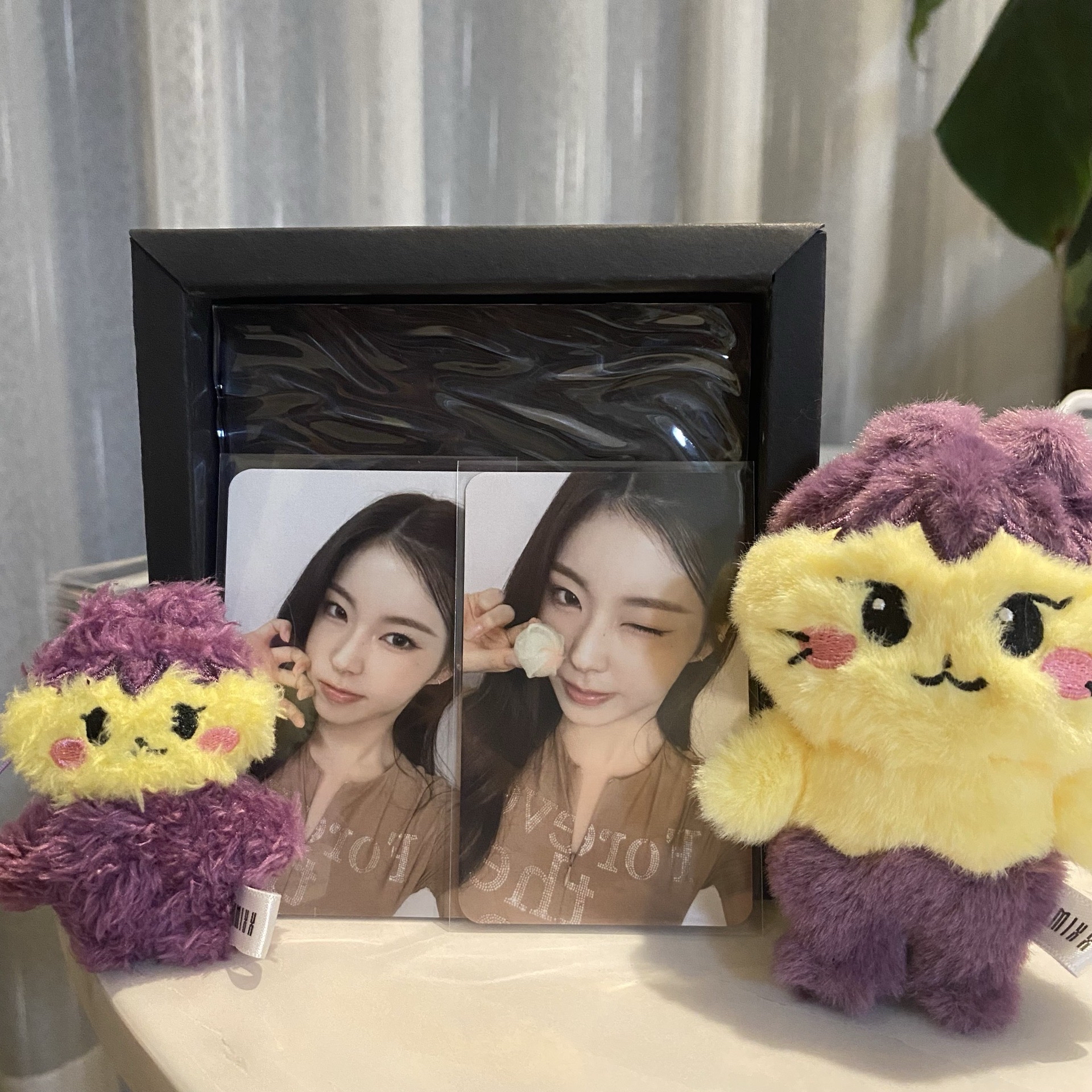 sw日本合影&曲奇圭