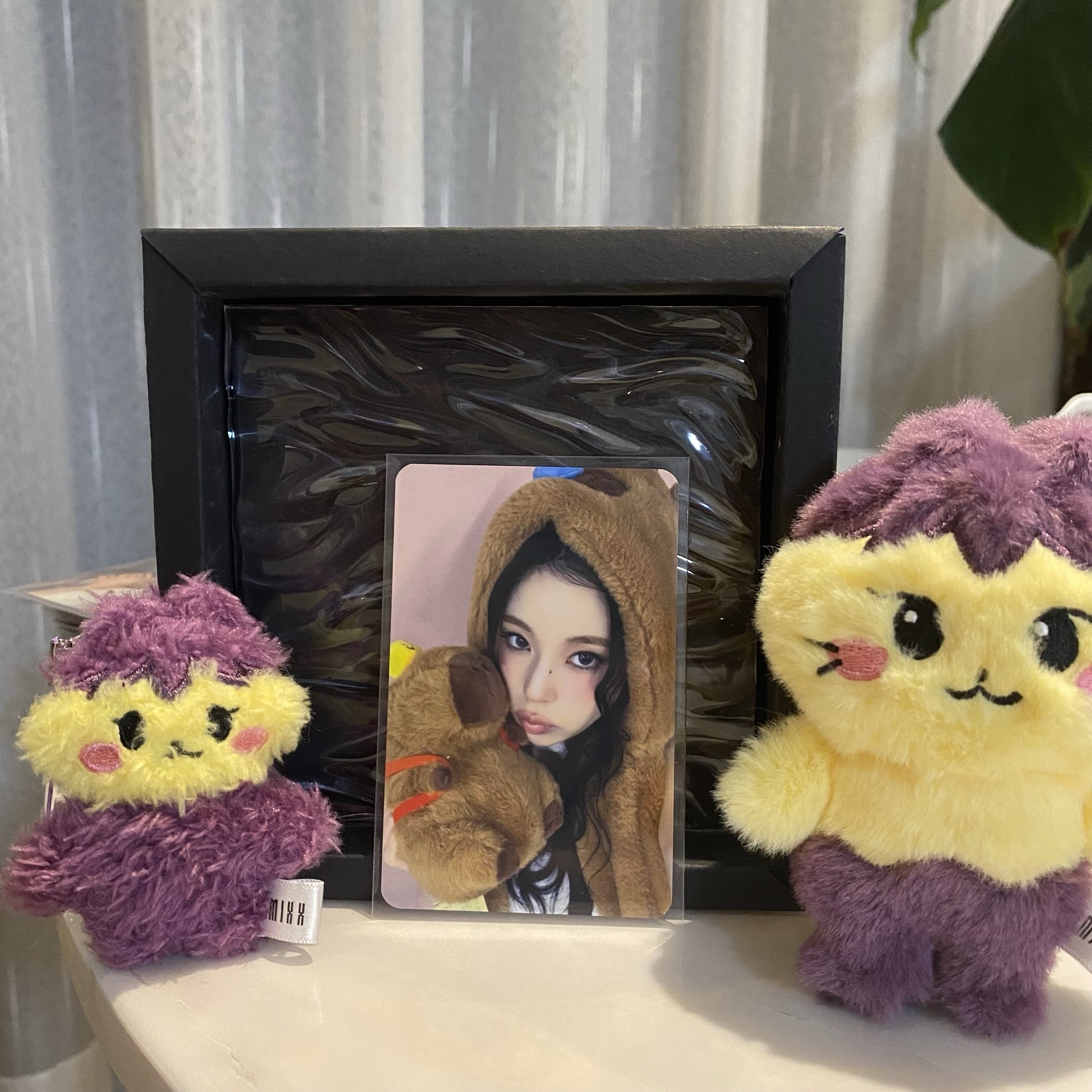 🐱ms 卡皮巴拉圭（雙面卡）