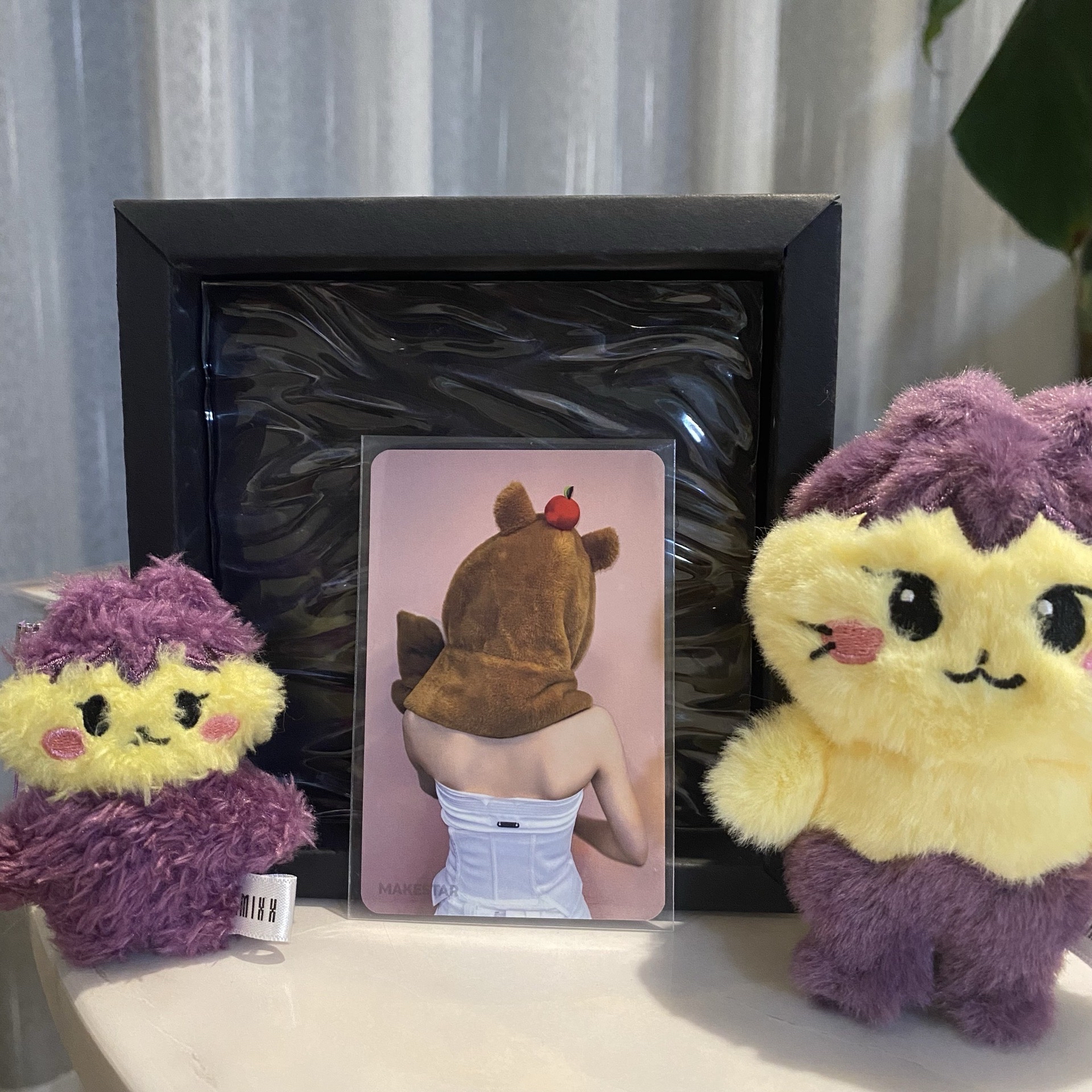 🐱ms 卡皮巴拉圭（雙面卡）