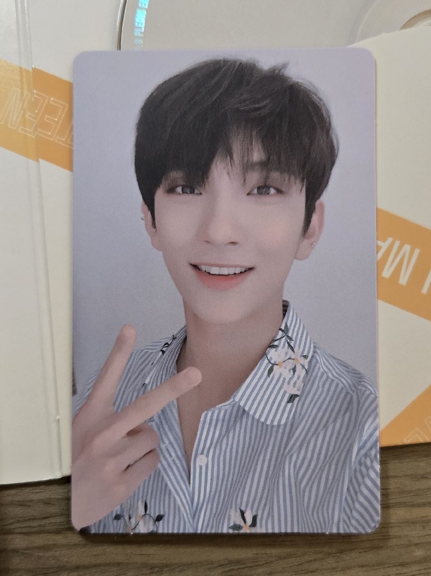 全專🪩Mini5 You make my day meet版 Joshua Hoshi Dino