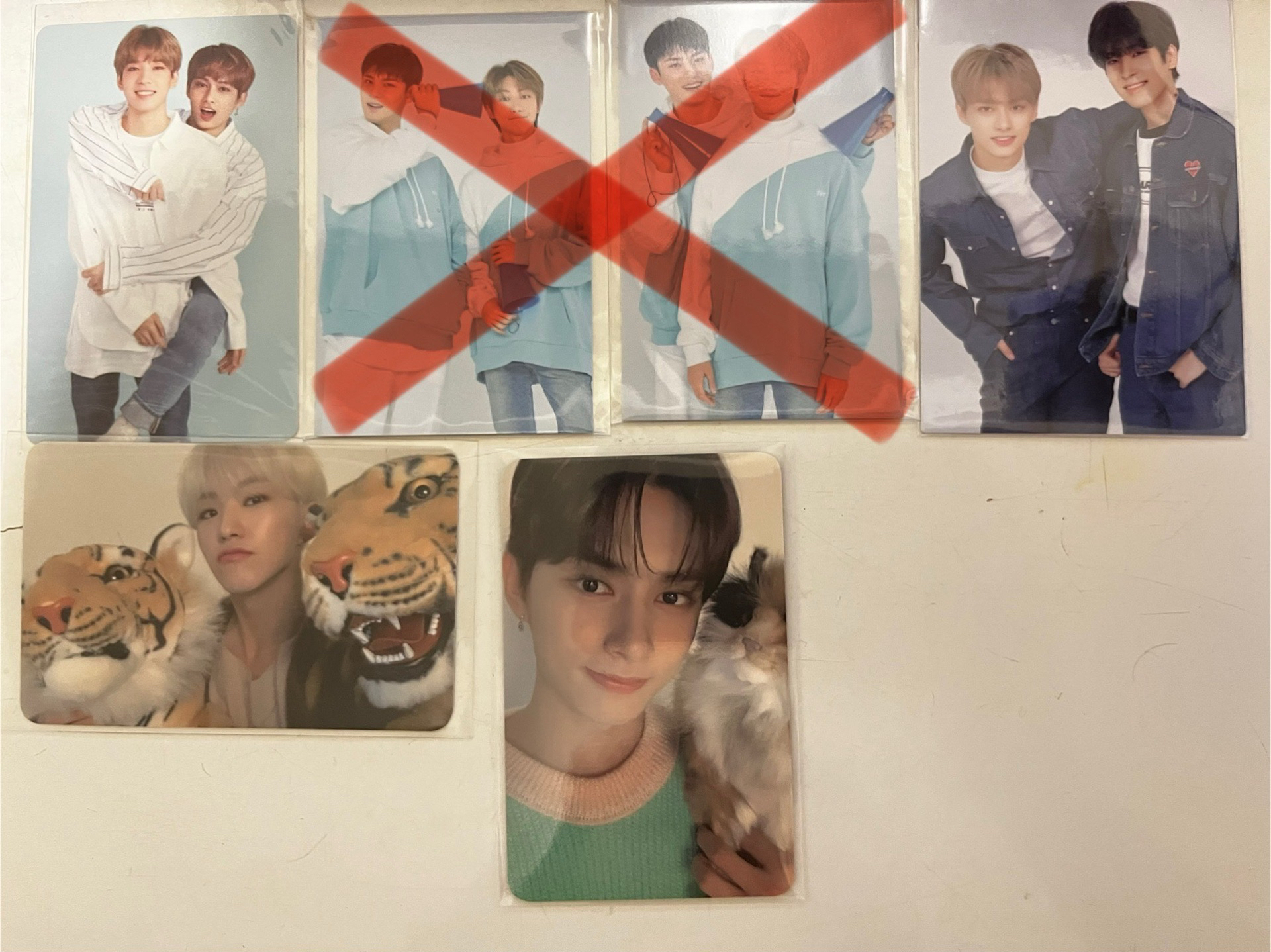 佑輝卡、抱貓俊、三虎榮