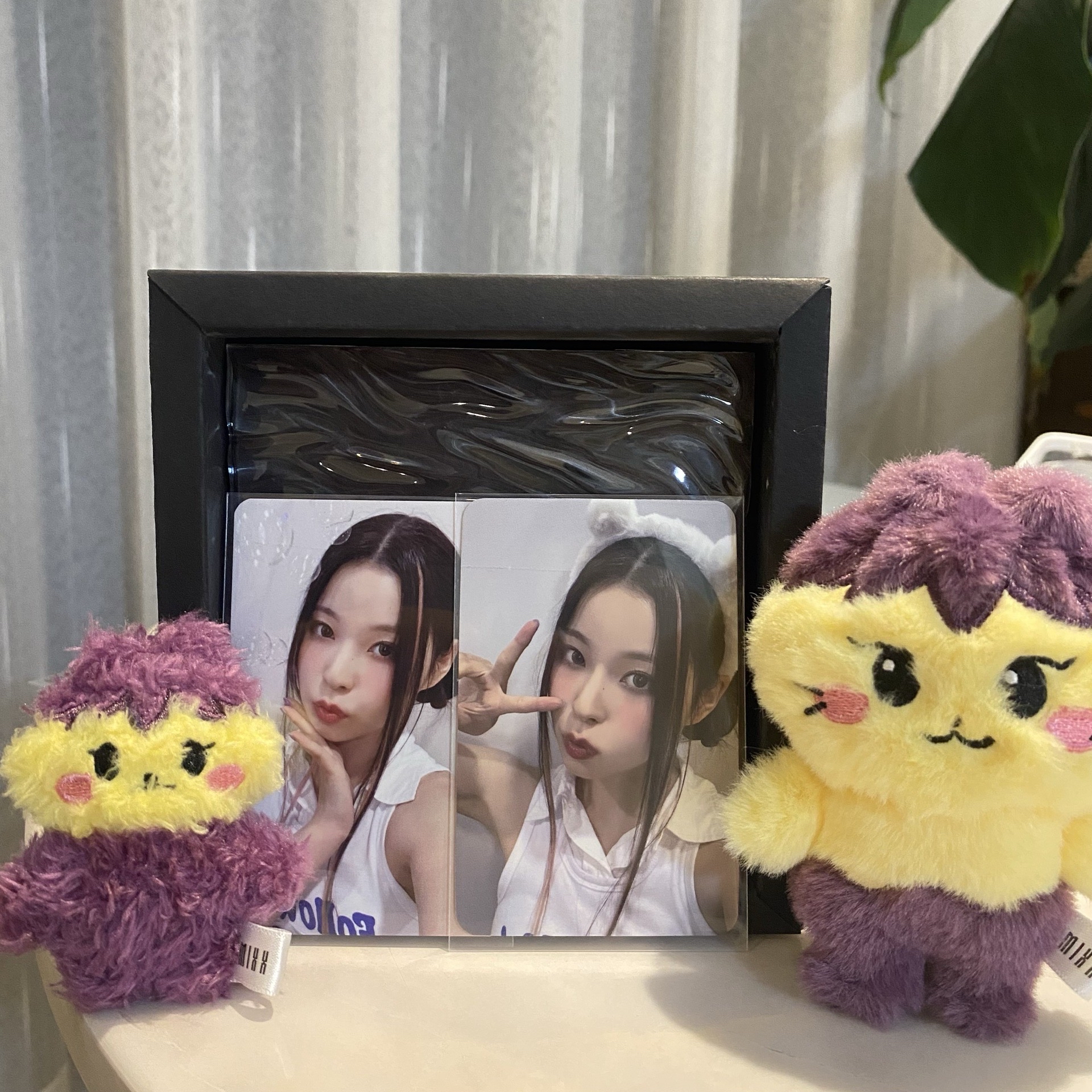 🪼ms泡泡 sw小熊圭