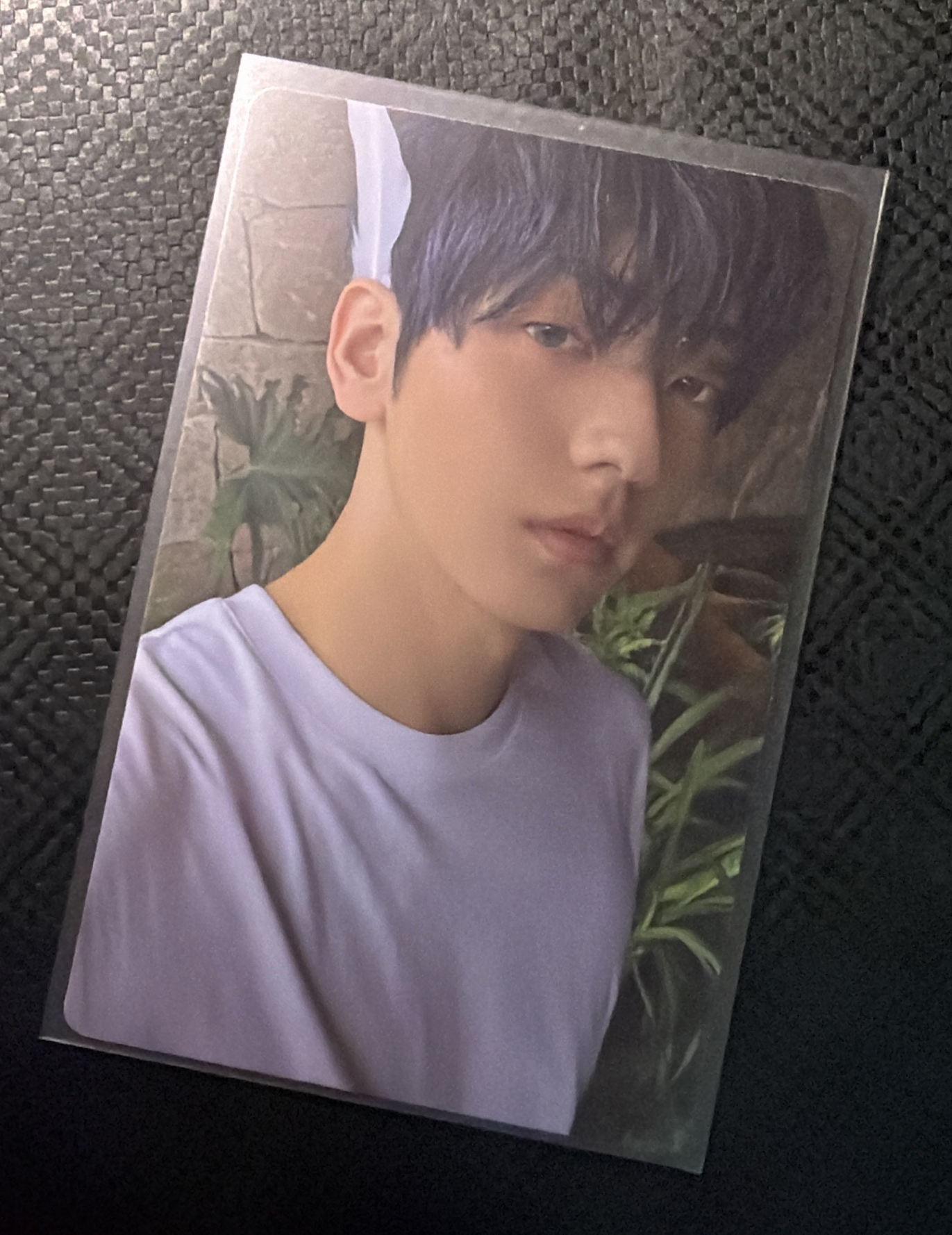 迷七 專輯卡 單封 Angel版 🌟