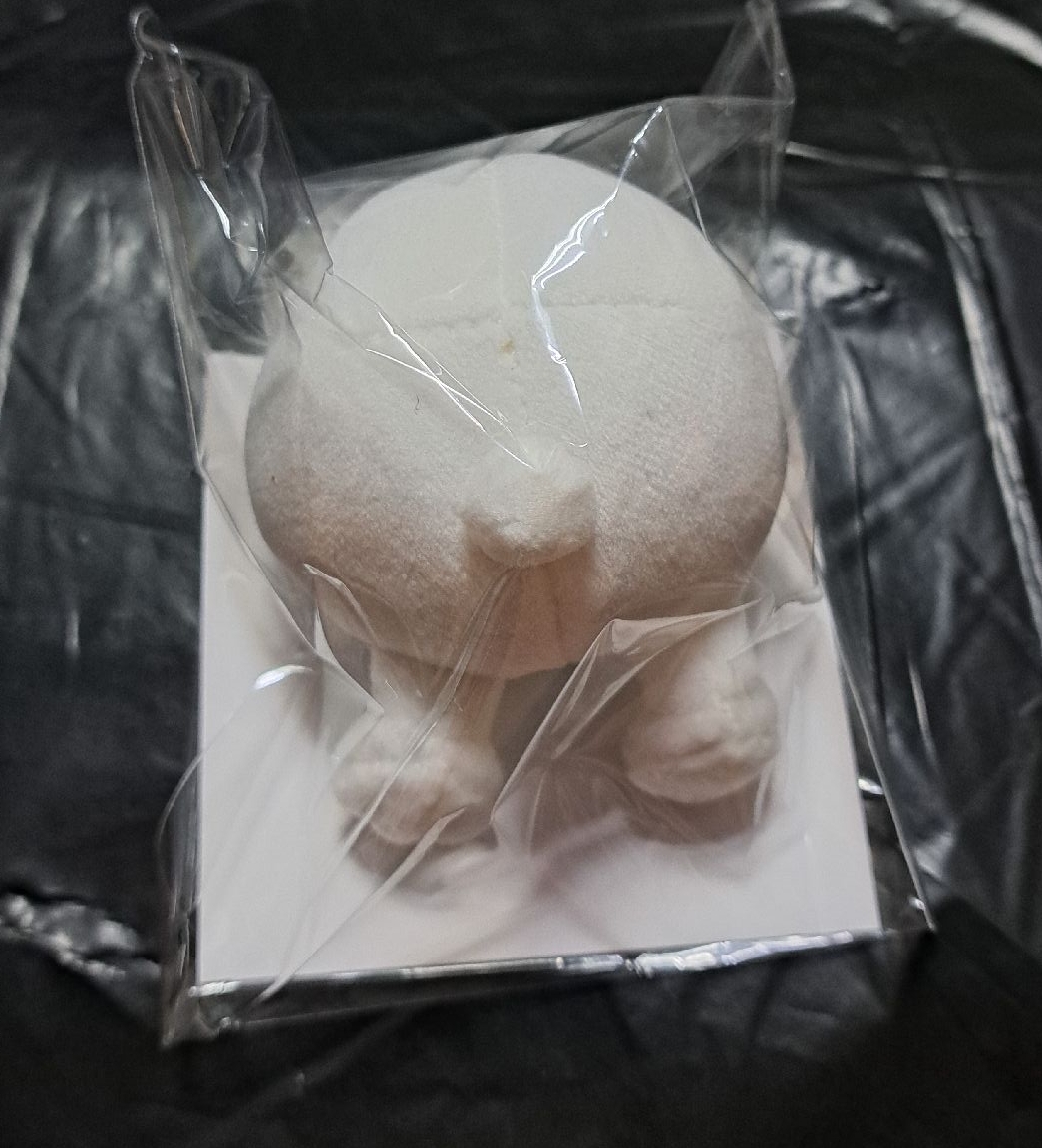 SKZOO 聖誕日週 立體屁屁手機支架 LEEBIT 