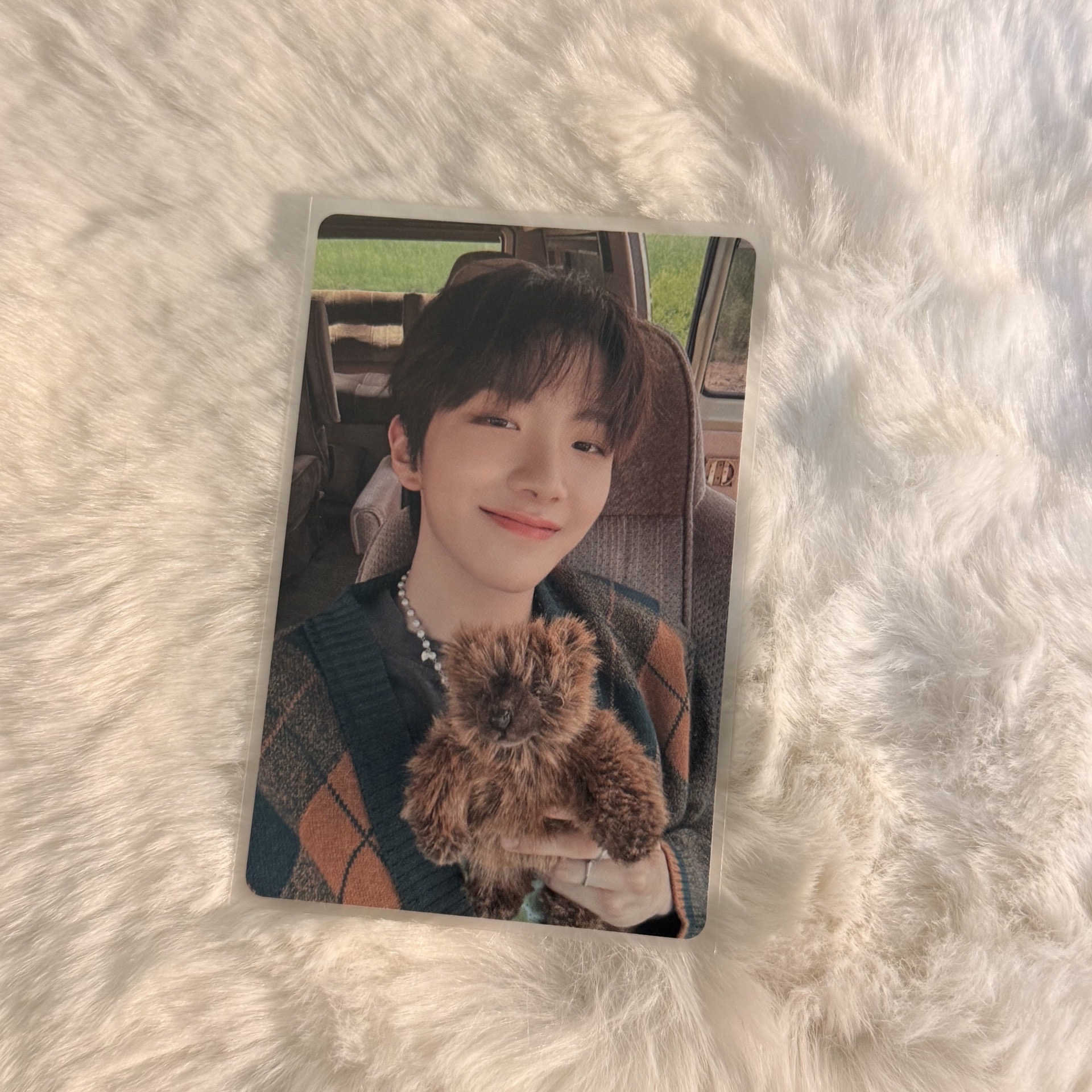 金雲鶴 why專輯卡