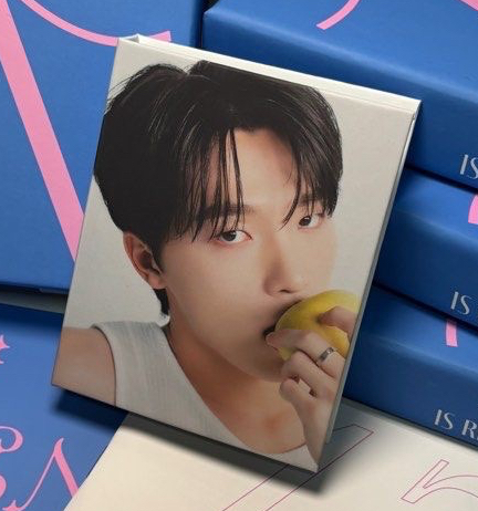 🩶精選專|Dino封面盤 全專