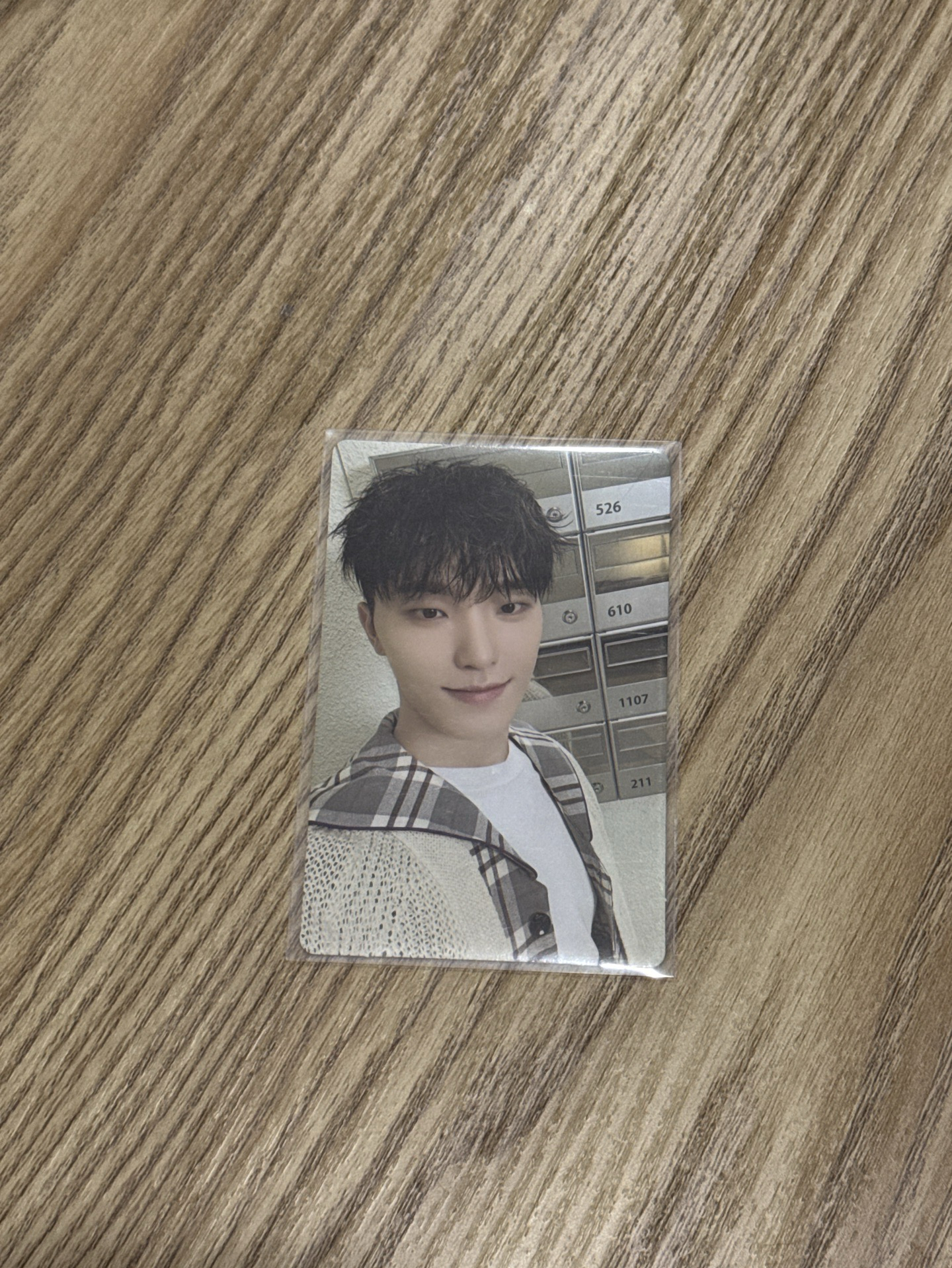 Seventeen 李燦 Dino 2024克拉島 卡包卡 隨機卡 自拍卡