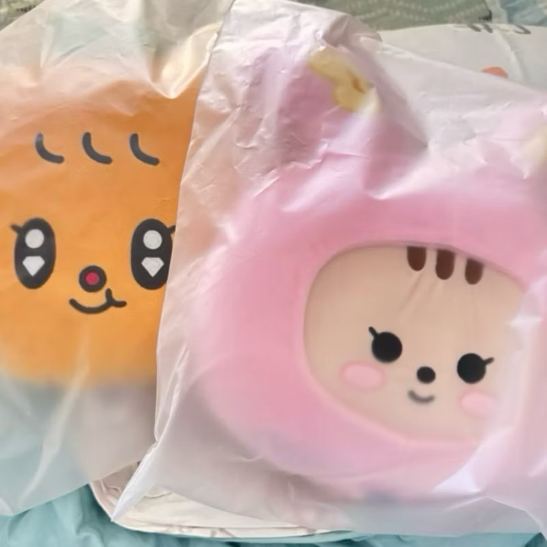 ⚡️SEVENTEEN Miniteen 抱枕 靠枕 尹淨漢 夫勝寛