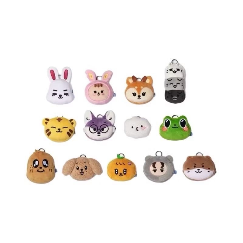 ⚡️SEVENTEEN Miniteen 零錢包 尹淨漢 權順榮 李碩珉 夫勝寛