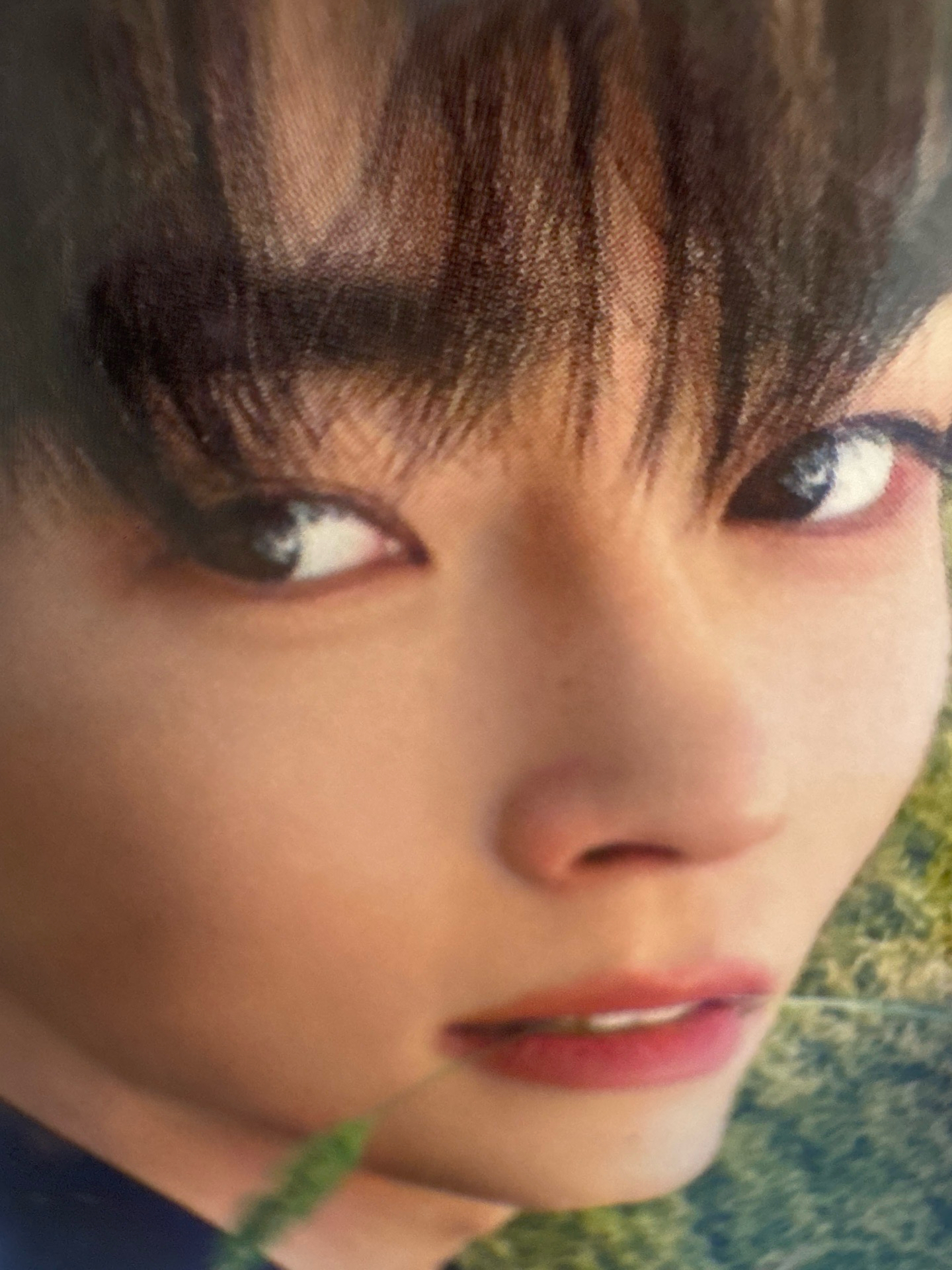 彬尼尼相框含卡