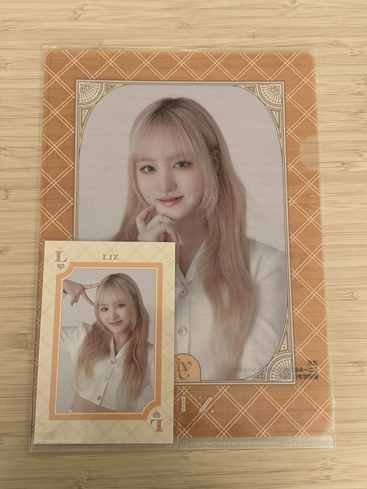 Liz F賞資料夾