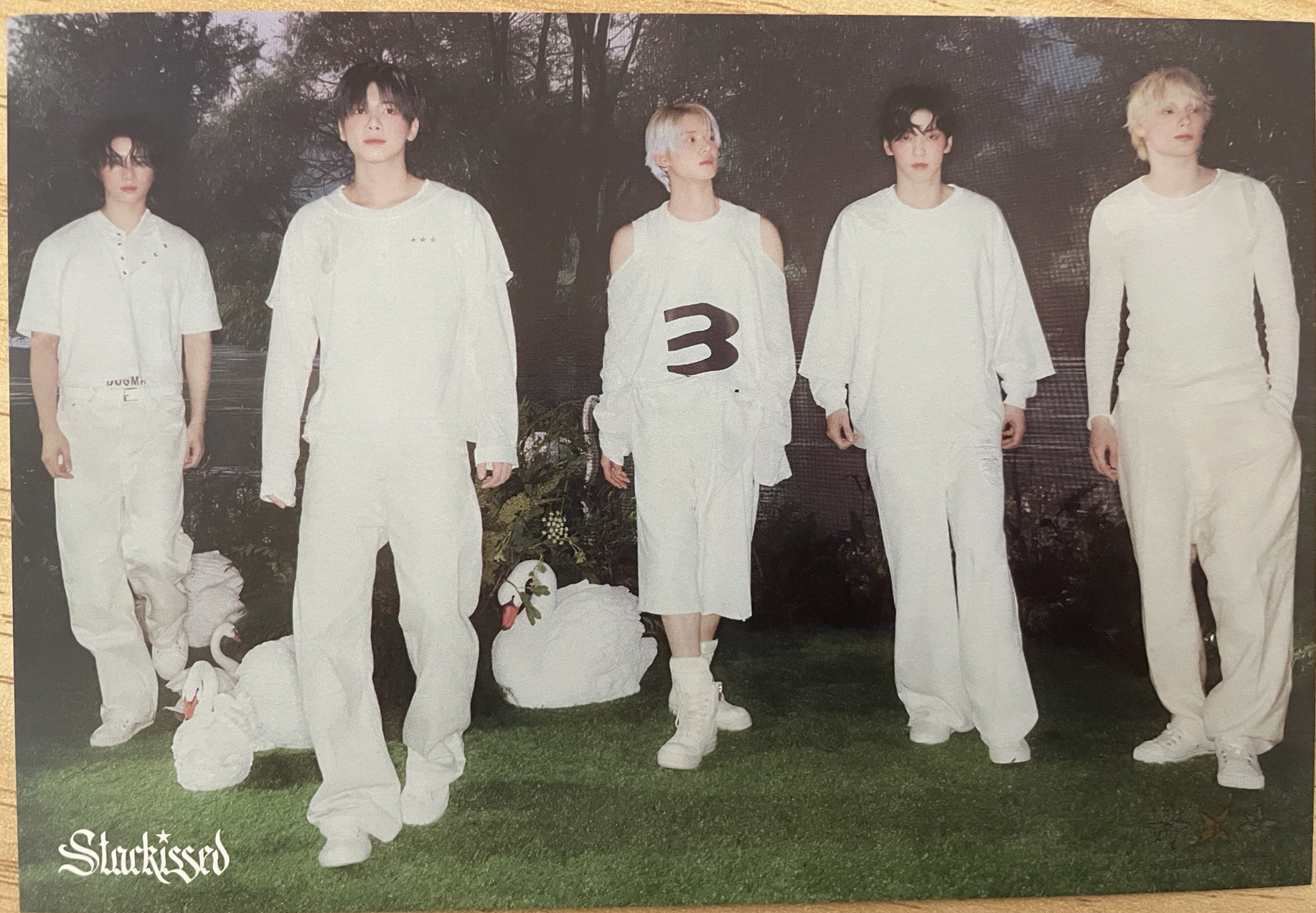 Starkissed 明信片 