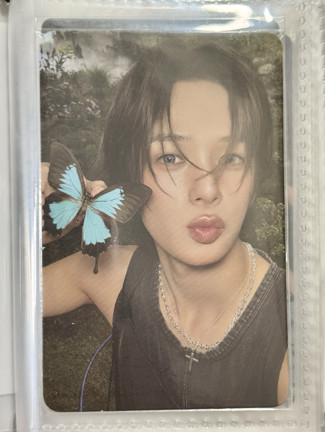 👑K BtL ROAR版 單封專卡